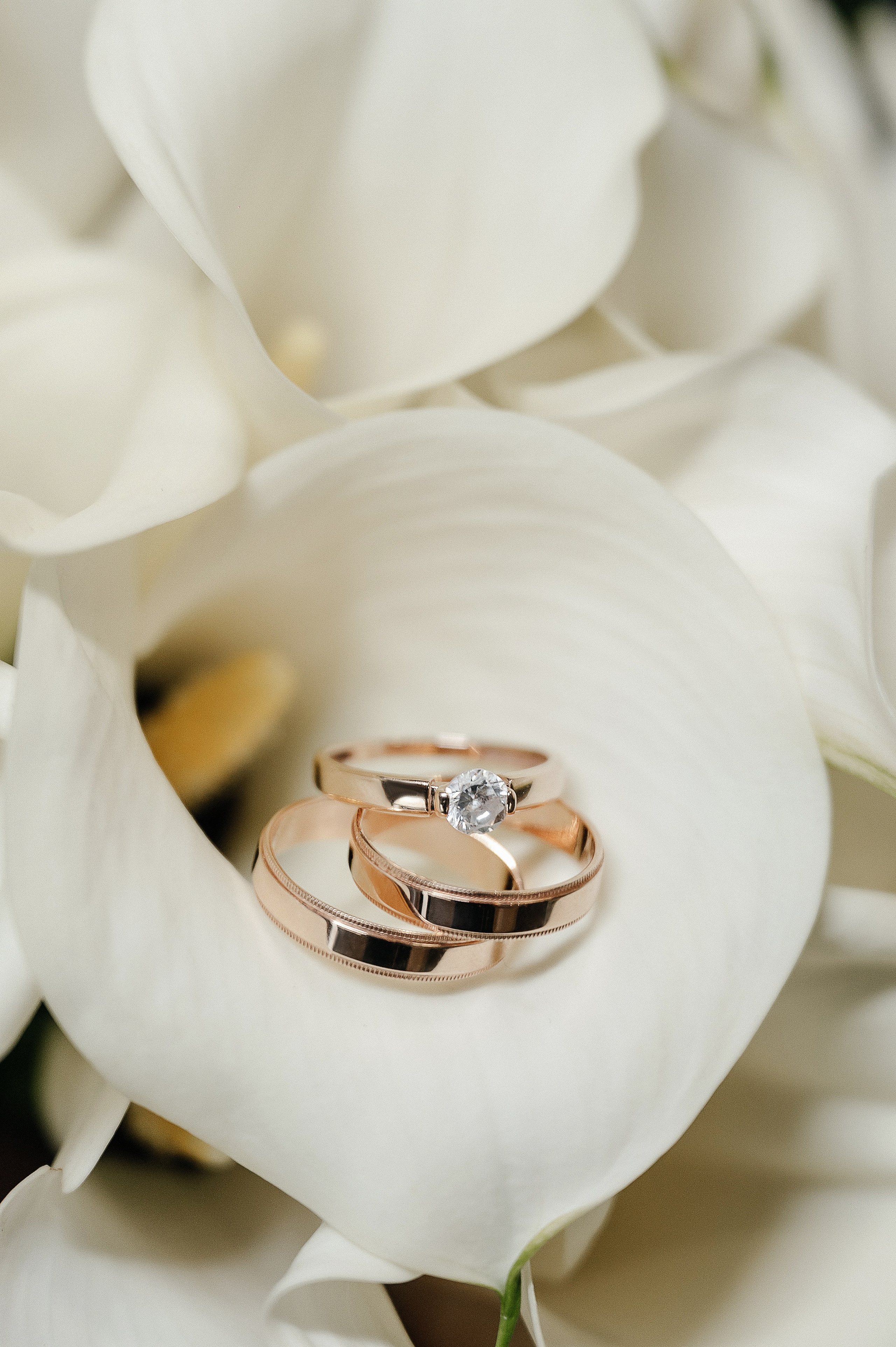 Д | А. Свадебный и семейный фотограф Краснодар Майкоп Суслова Ольга