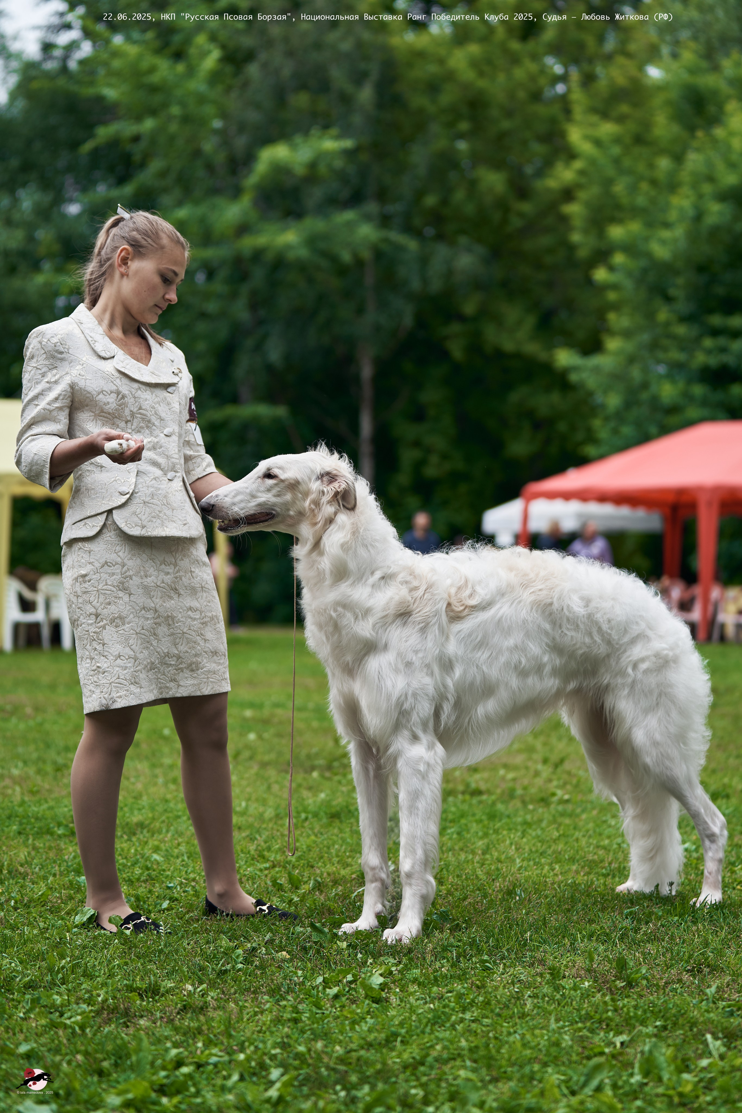 22.06.2025 | Национальная Выставка НКП "Русская Псовая Борзая"