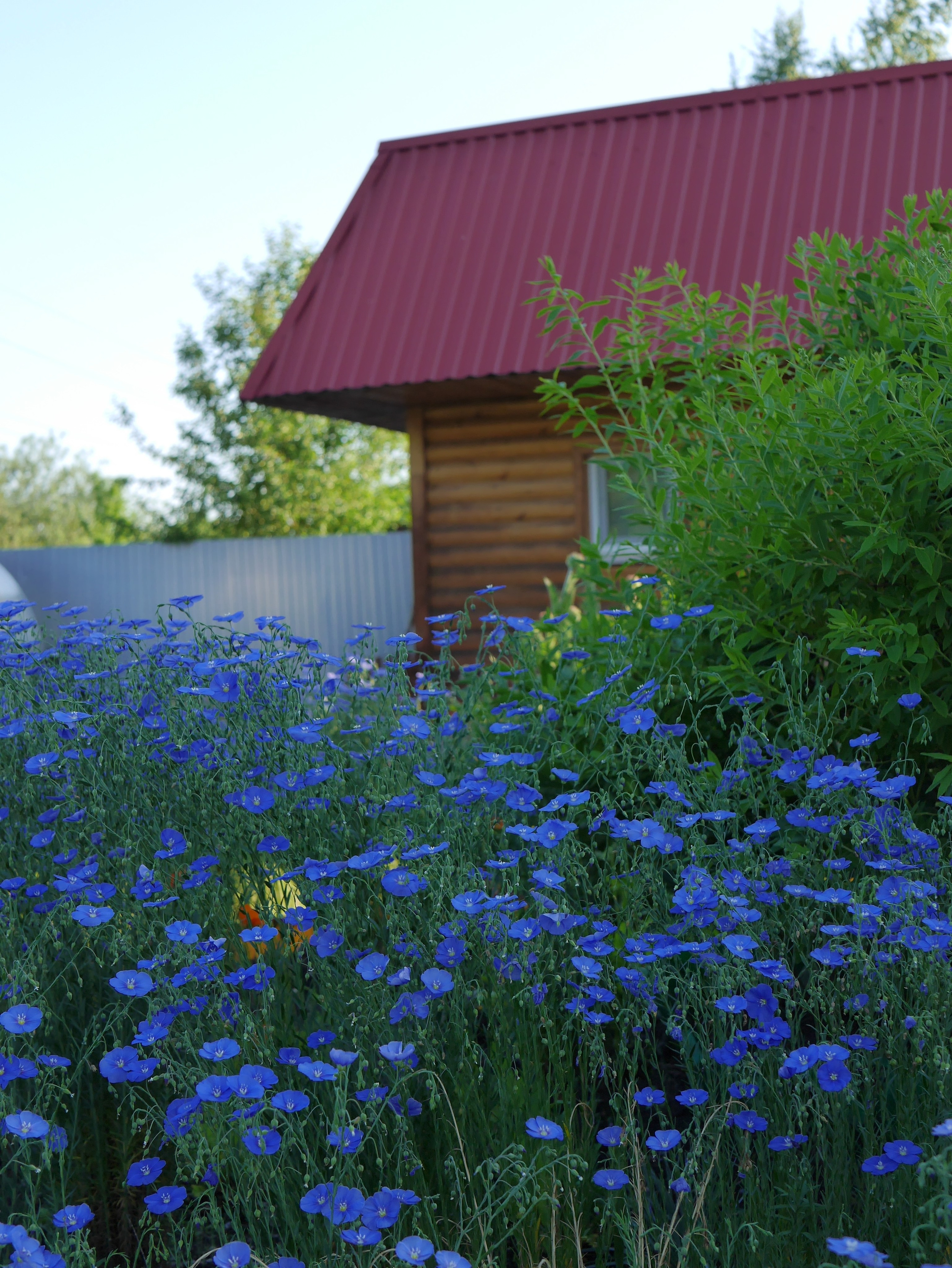 Вся красота мира в одной картинке