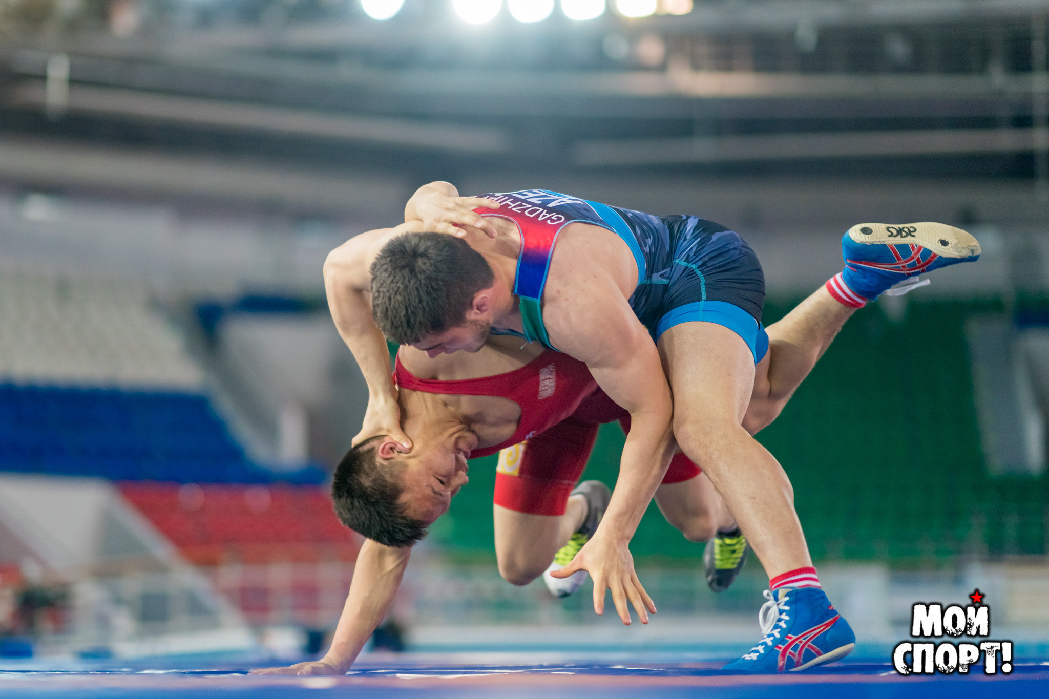 VIII Международный турнир по вольной борьбе памяти Р. Дмитриева. Студия «Мой Спорт!» — все о спорте в Якутии