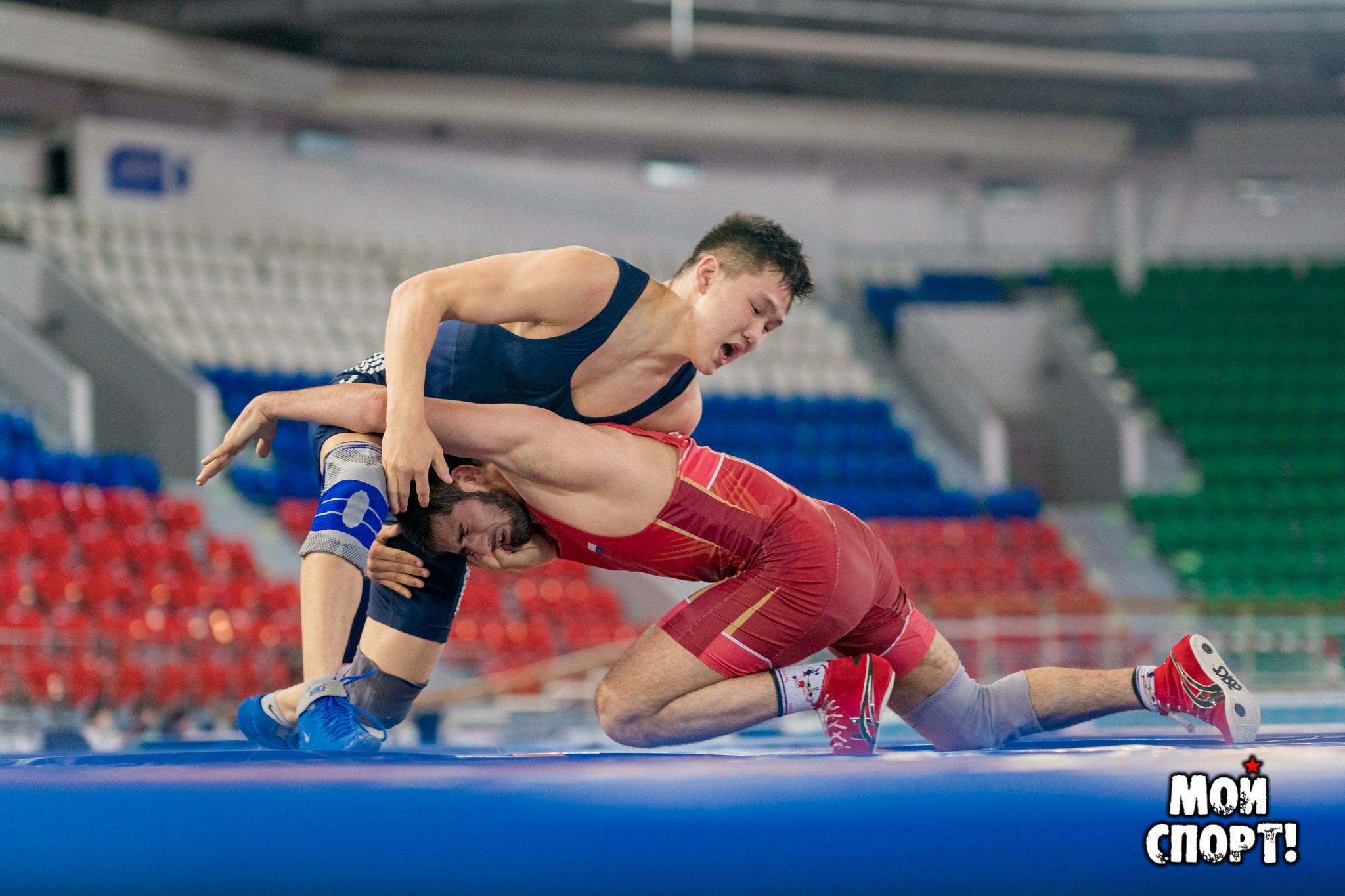 VIII Международный турнир по вольной борьбе памяти Р. Дмитриева. Студия «Мой Спорт!» — все о спорте в Якутии