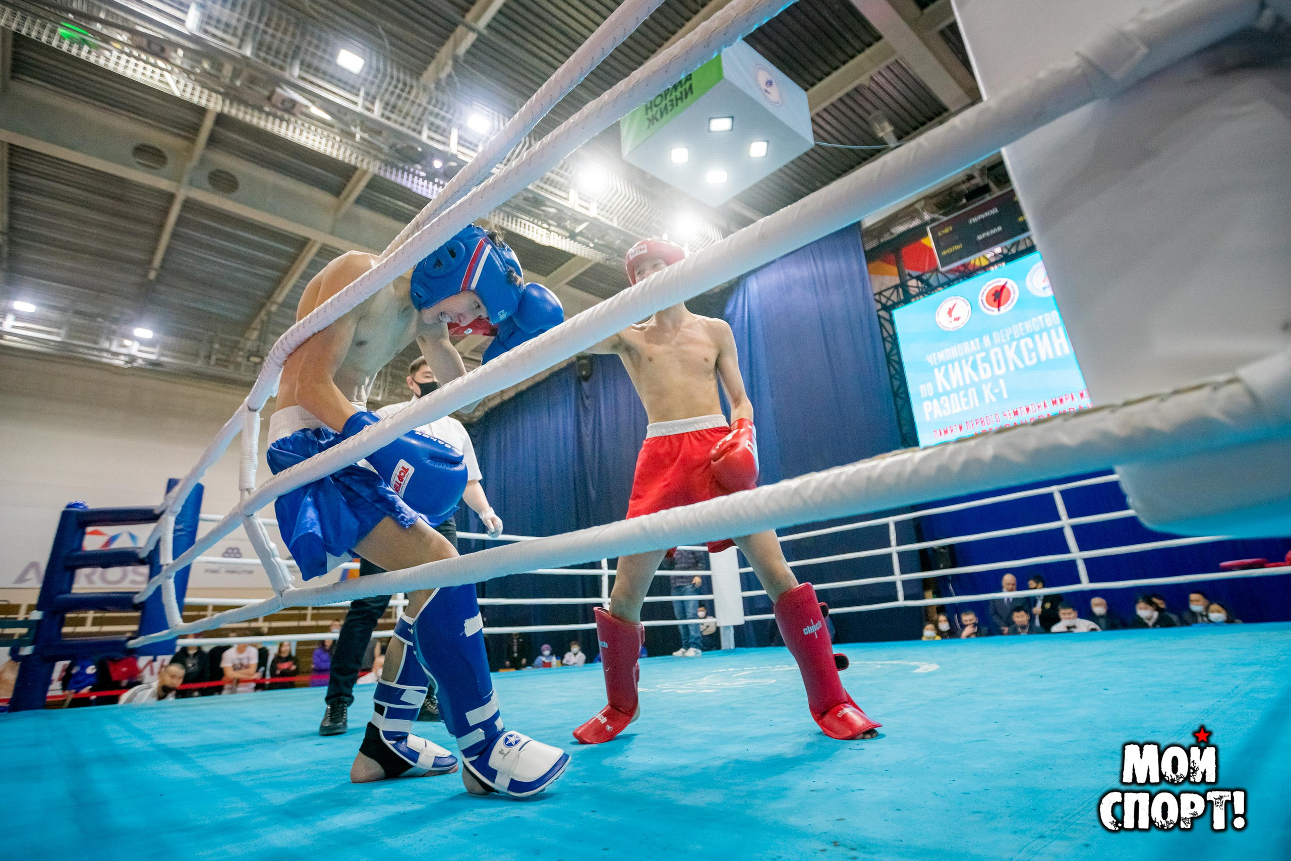Первенство и Чемпионат ДФО по кикбоксингу. 5–7 февраля. г. Якутск. Студия «Мой Спорт!» — все о спорте в Якутии