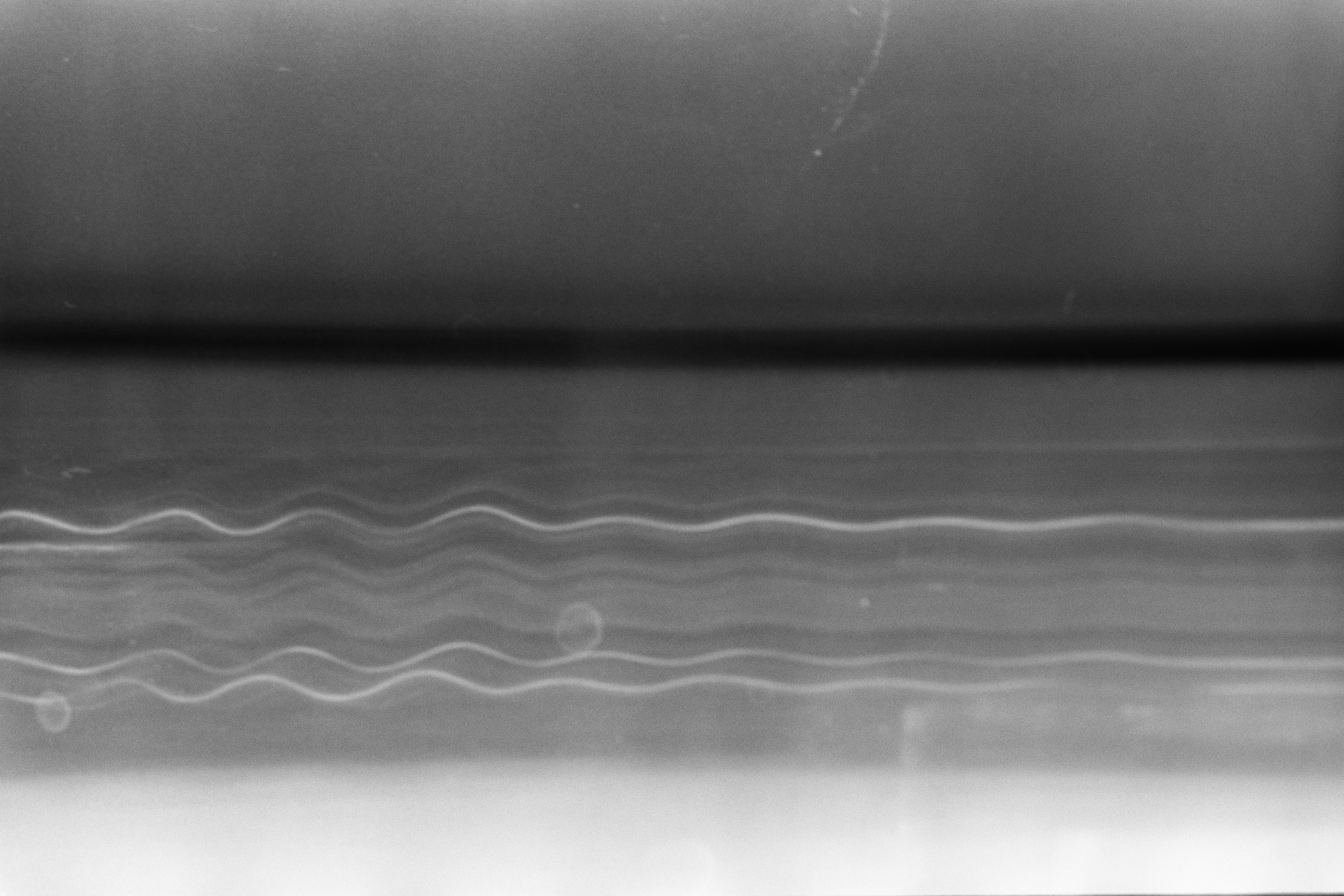 PROXY | Project by Veronika Verbitskaia. Veronika Verbitskaia | Contemporary Photographer | Dublin