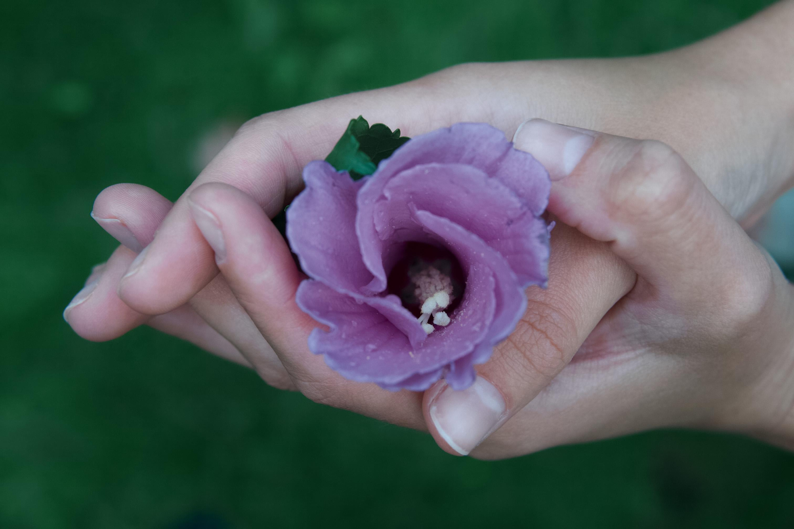 Анастасия, фотосессия. Фотограф в Минске Света Григорьева
