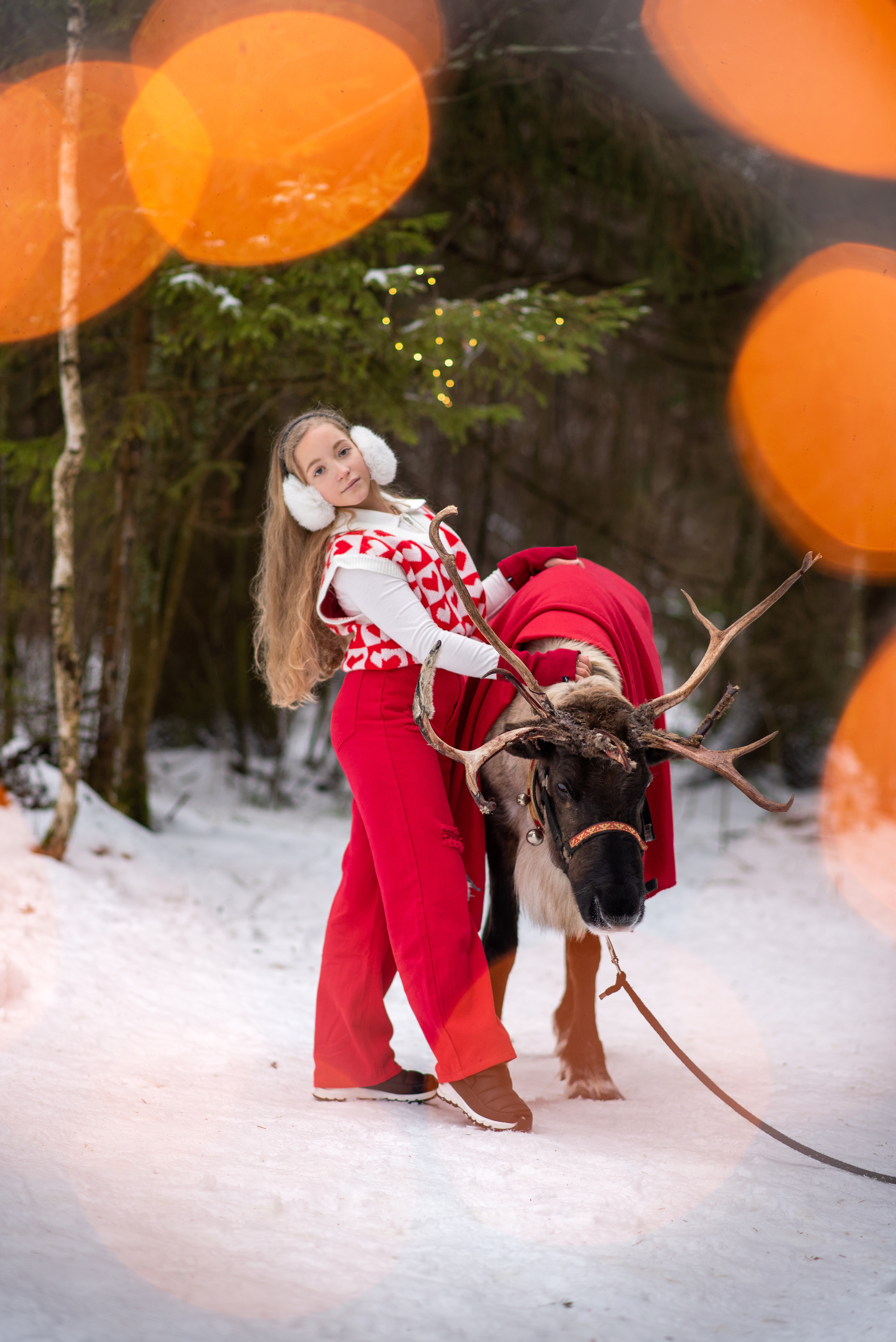 Фотодень с северным оленем. Катя Барбус Фотограф Пермь