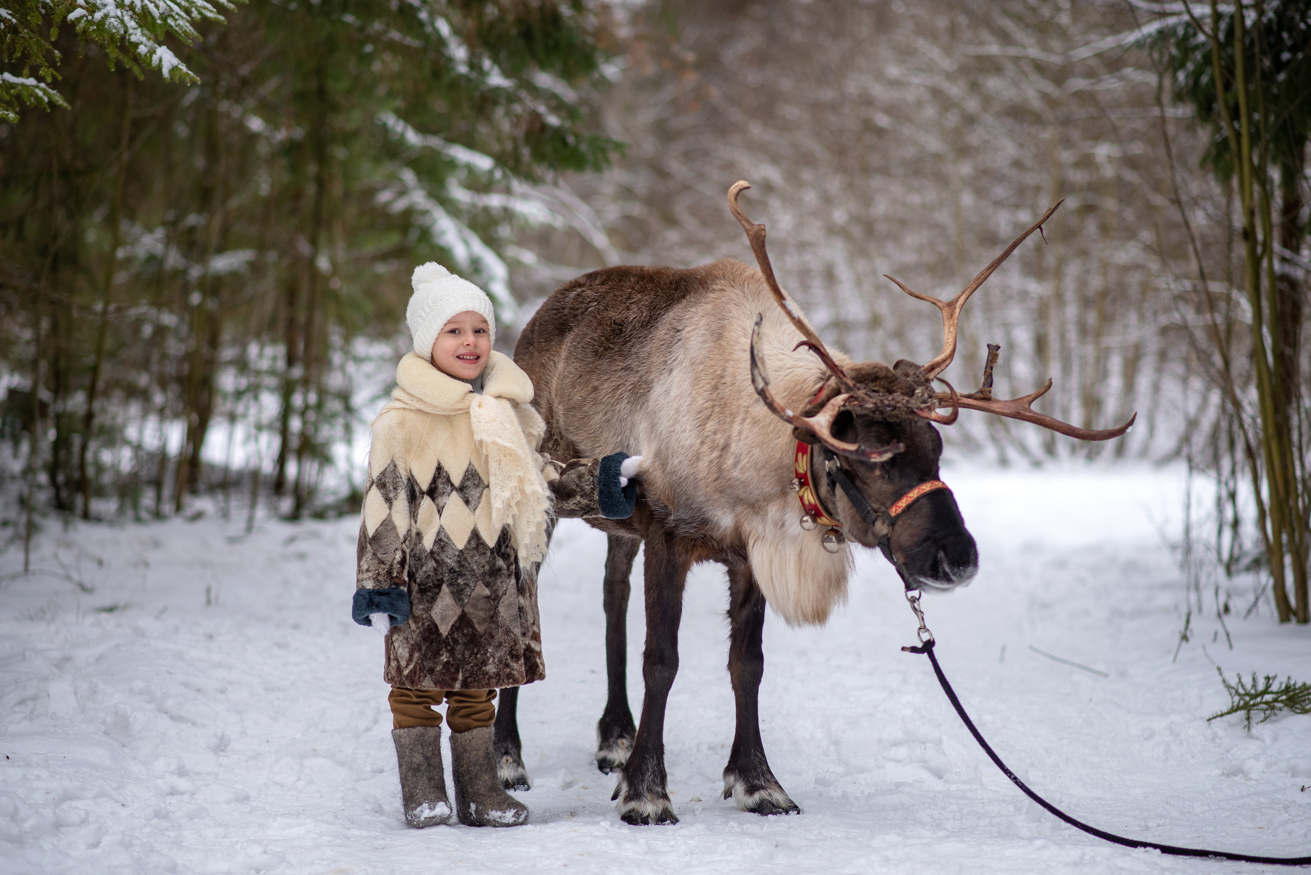 Фотодень с северным оленем. Катя Барбус Фотограф Пермь