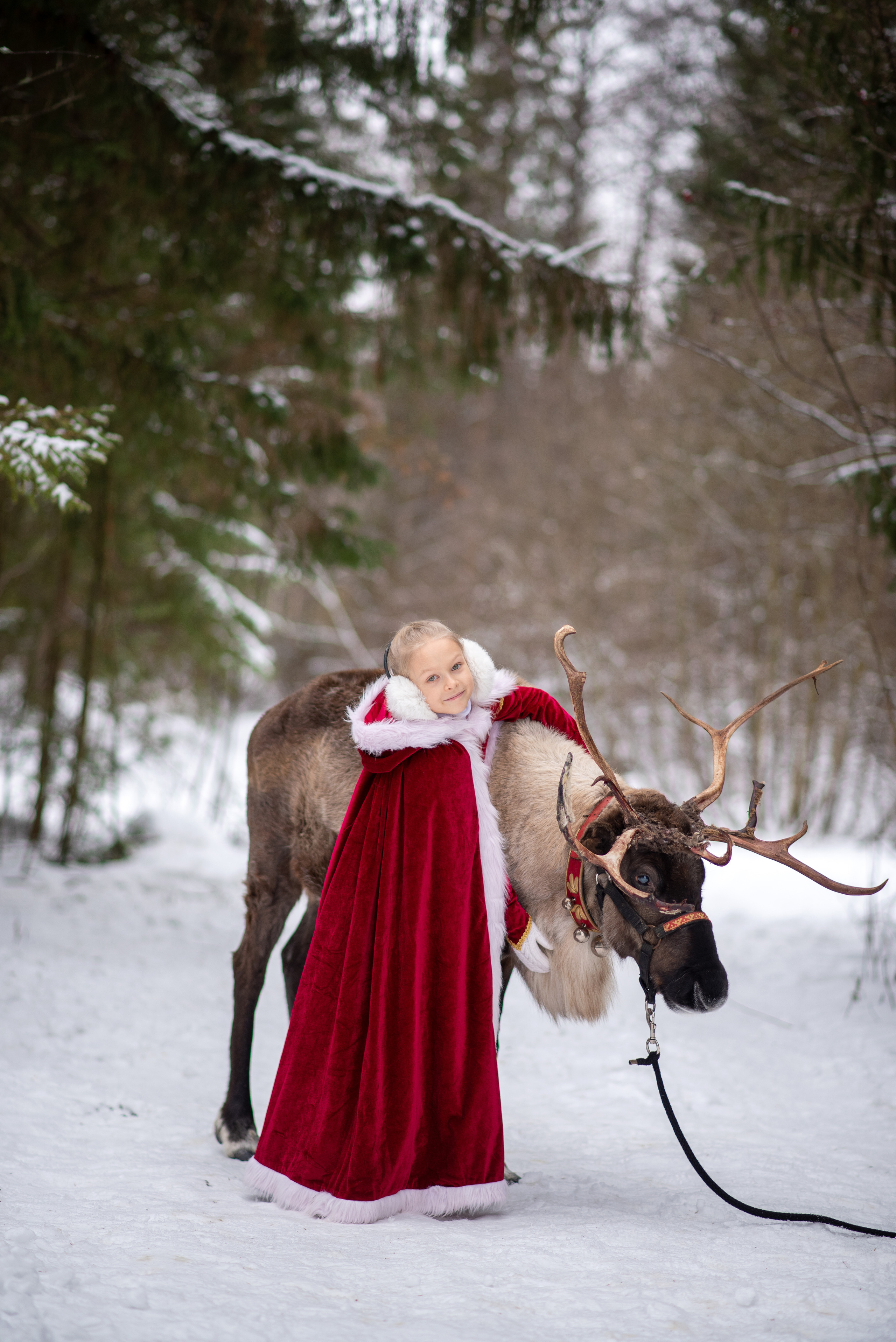 Фотодень с северным оленем. Катя Барбус Фотограф Пермь
