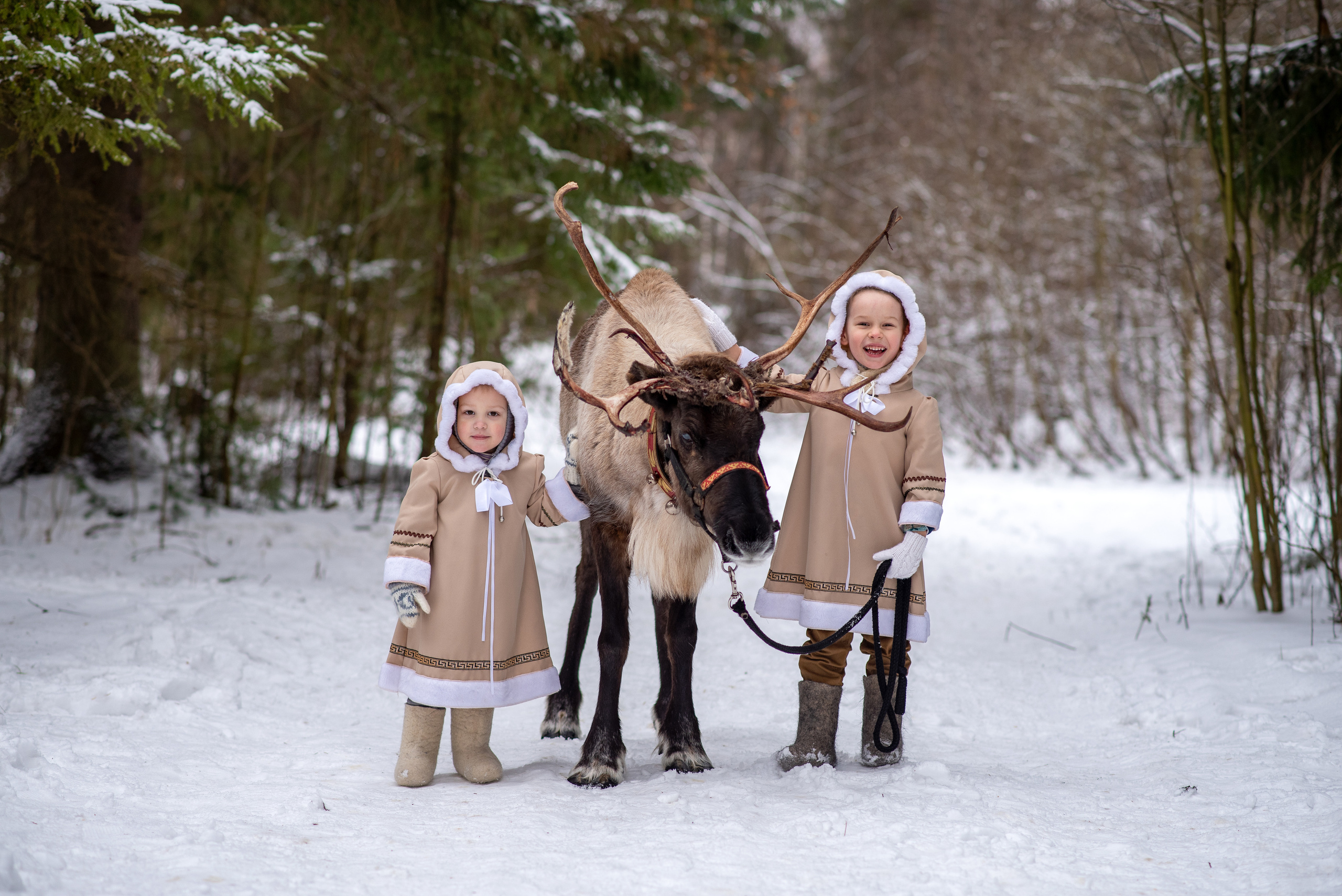 Фотодень с северным оленем. Катя Барбус Фотограф Пермь