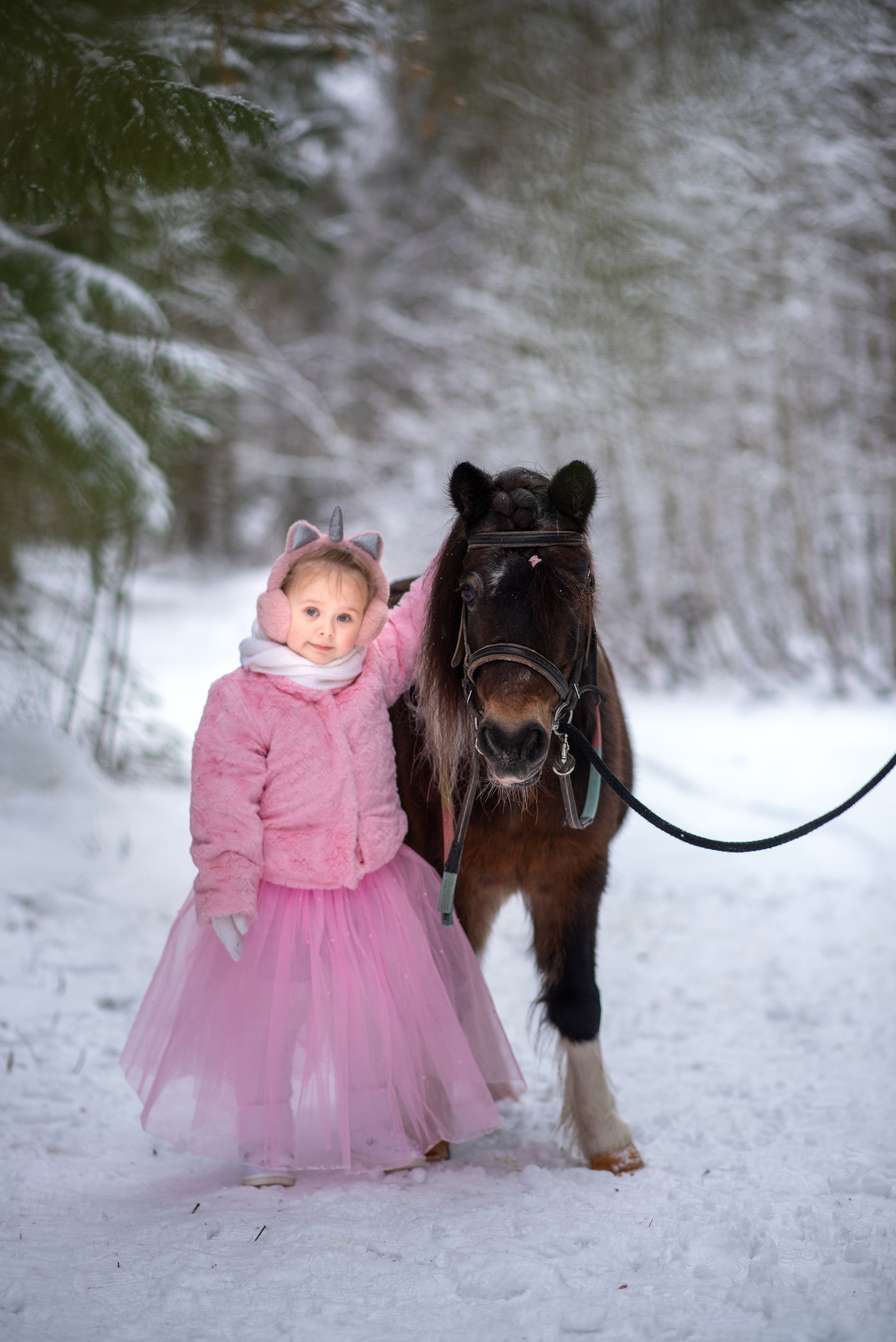Фотодень с северным оленем. Катя Барбус Фотограф Пермь