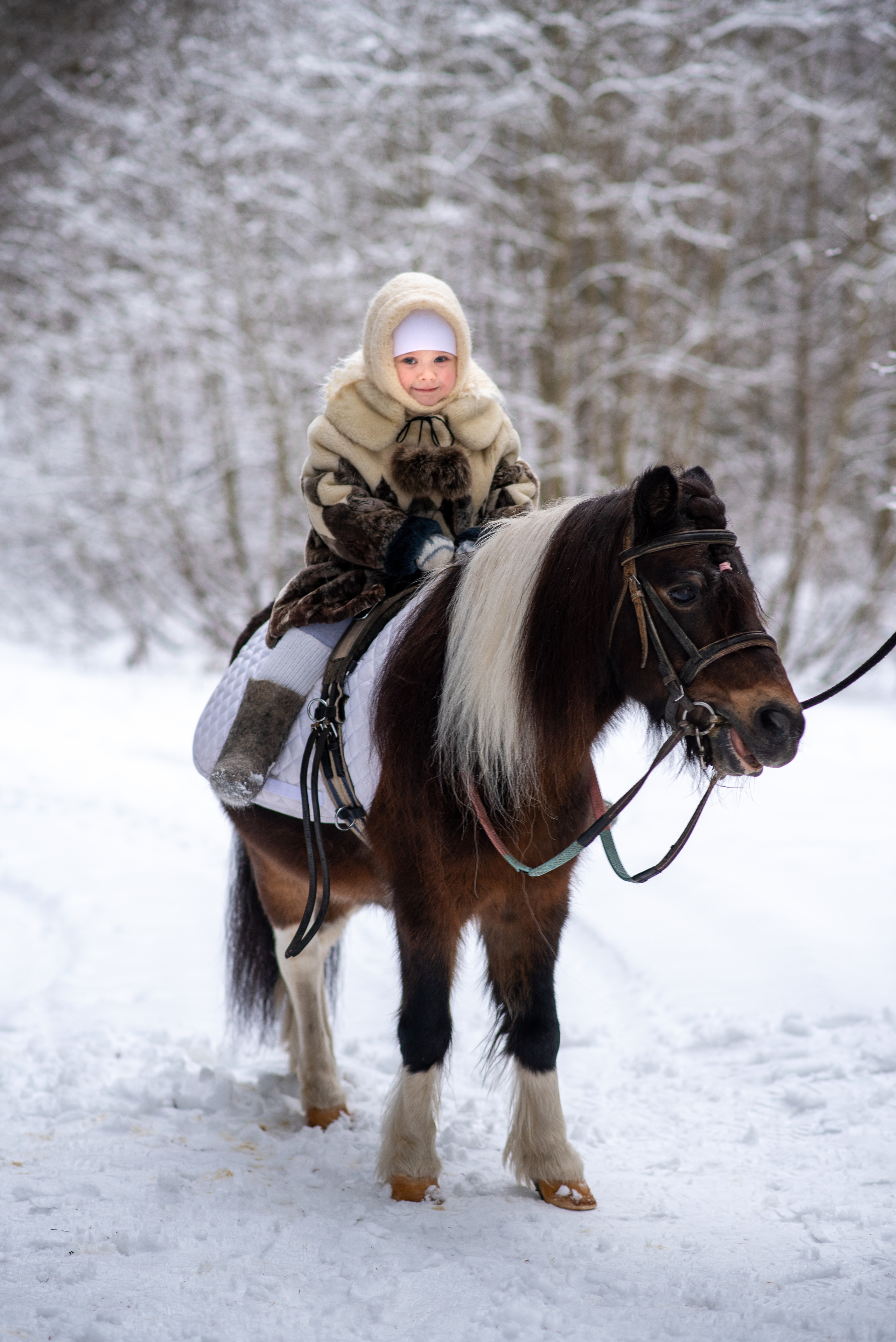 Фотодень с северным оленем. Катя Барбус Фотограф Пермь