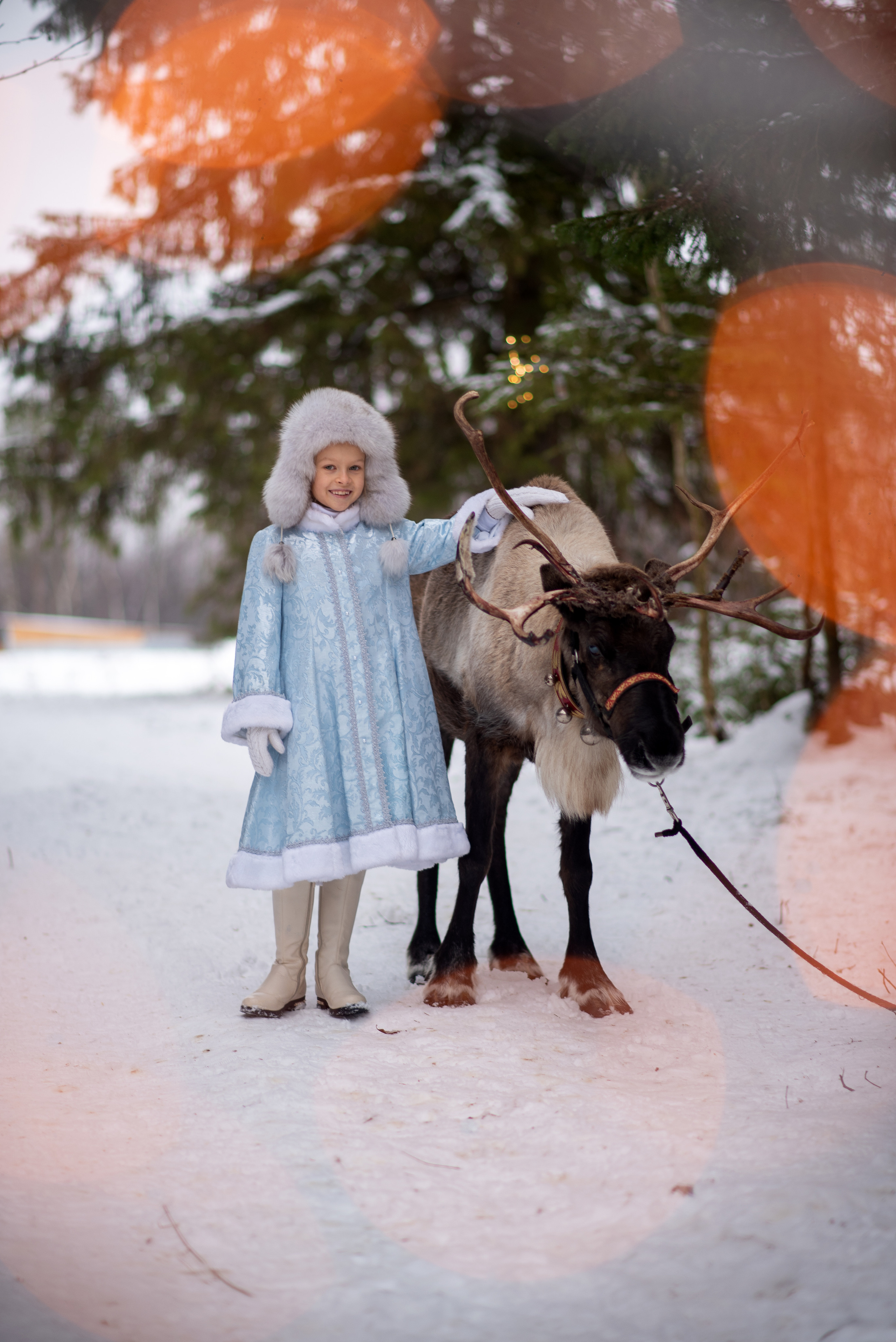 Фотодень с северным оленем. Катя Барбус Фотограф Пермь
