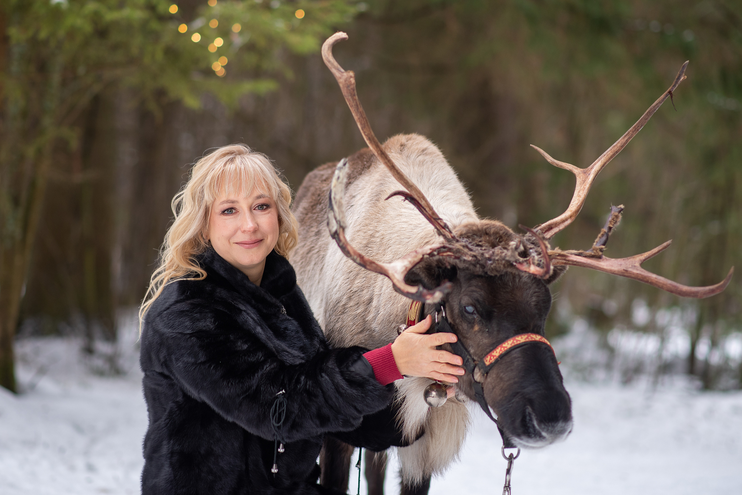 Фотодень с северным оленем. Катя Барбус Фотограф Пермь