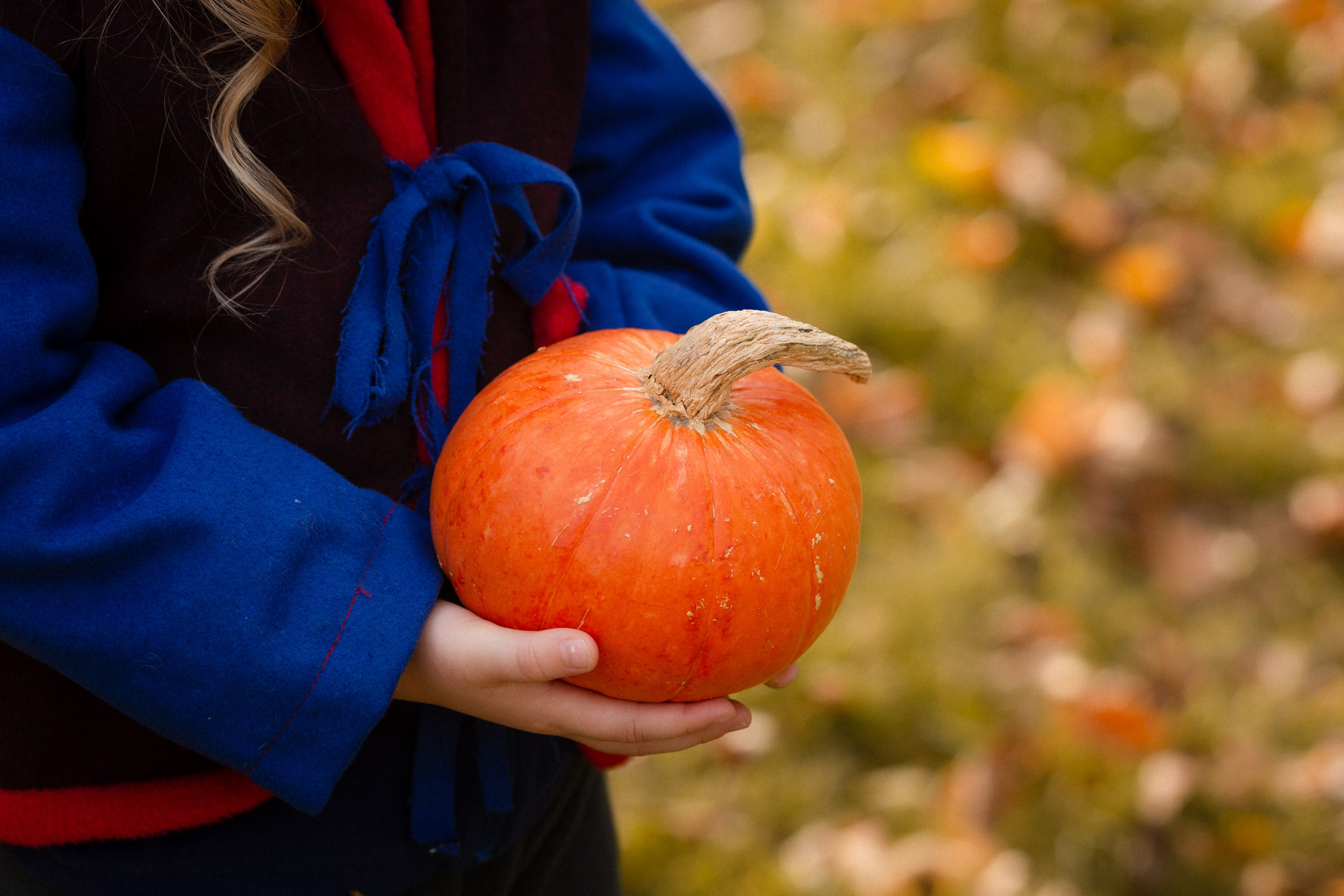 Лесные гномы