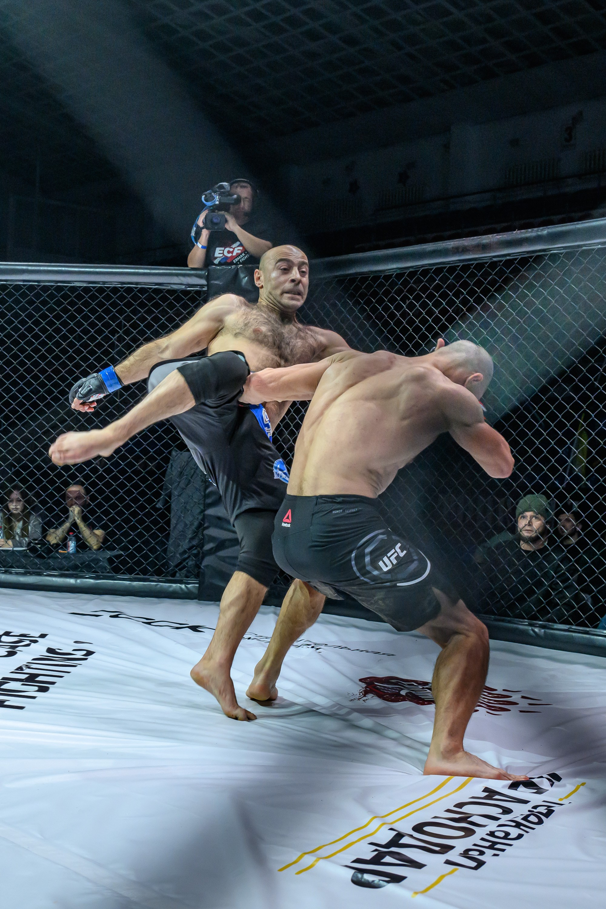 Фотосъемка профессионального турнира по смешанным единоборствам. Профессиональная фотосъемка. Ростов-на-Дону