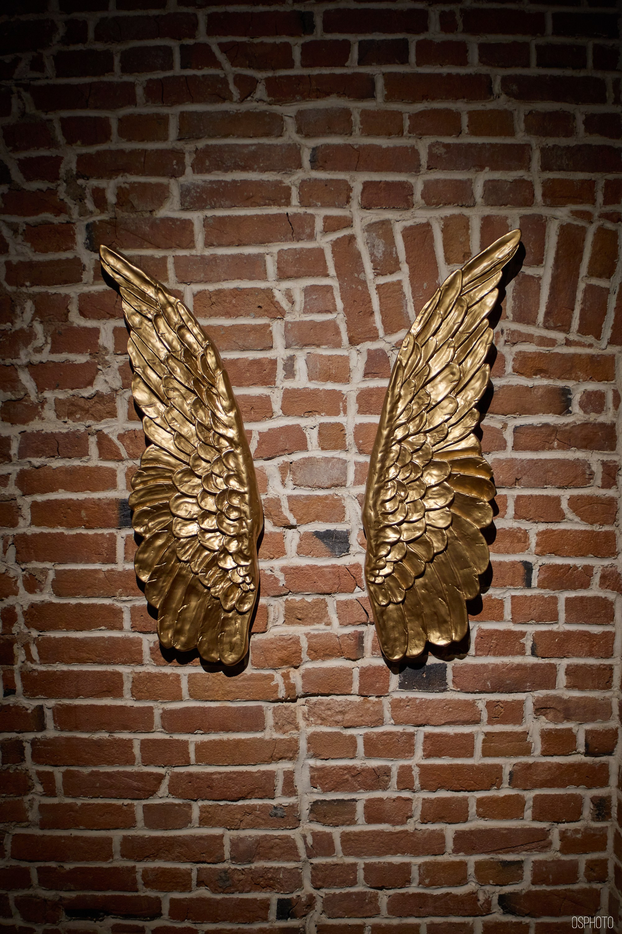 Псков. Ноябрь. Фотографъ Сергѣевъ. Поймать мгновеніе