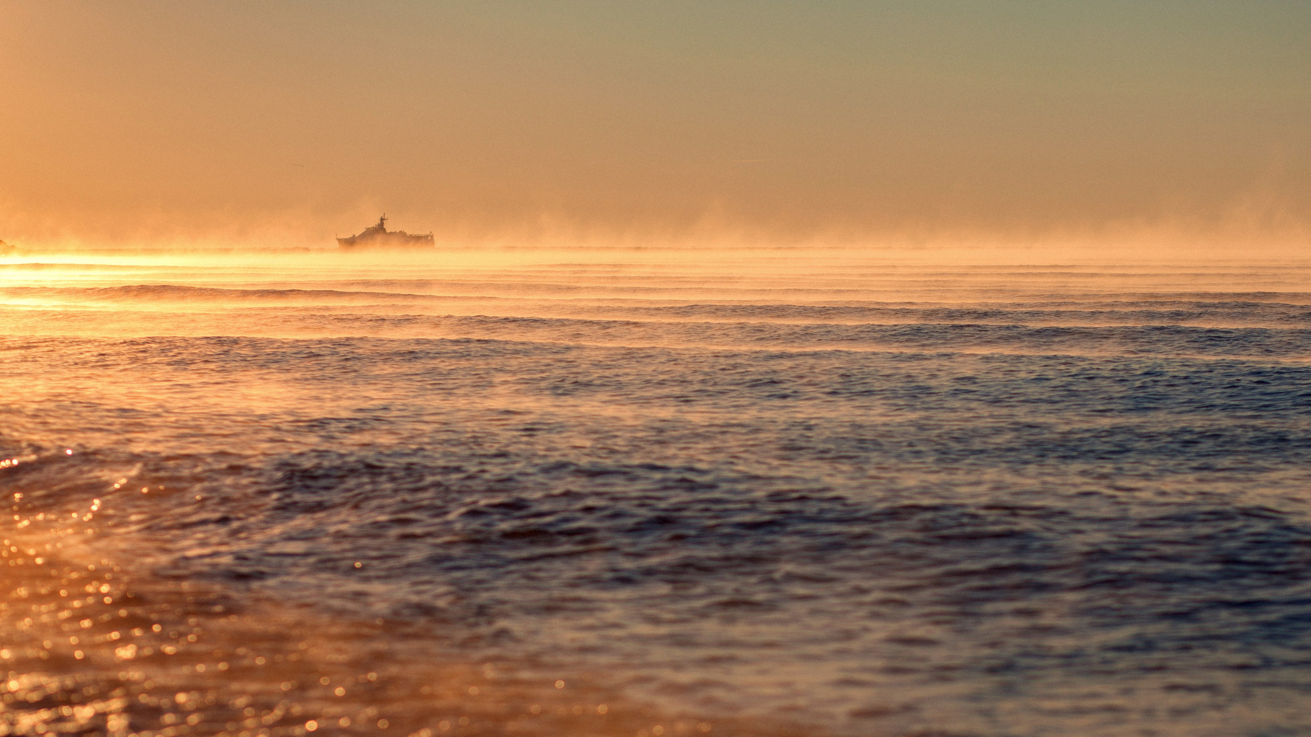 Улицы Люди на улицах Природа Животные — фотограф Оля Волчкова