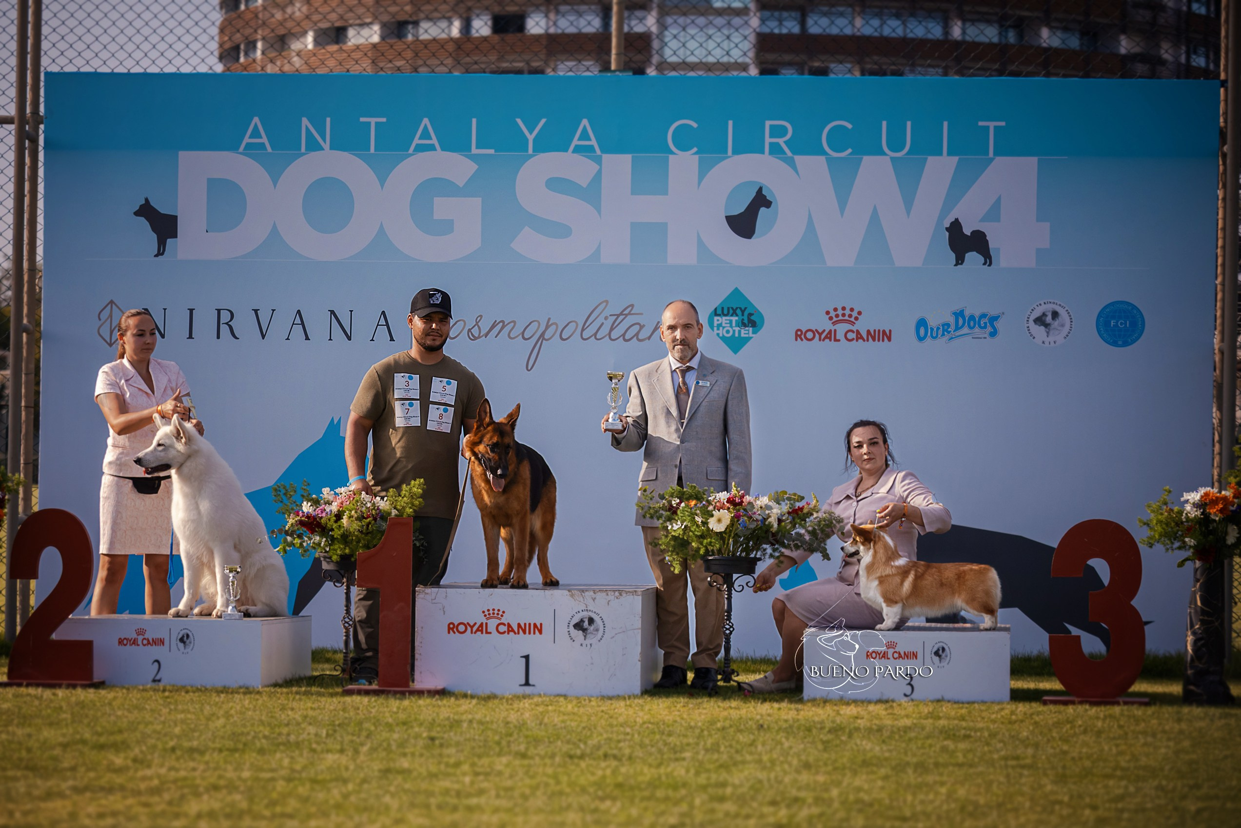 Собаки питомника Bueno Pardo. Питомник собак Акита, Хаски, Корги