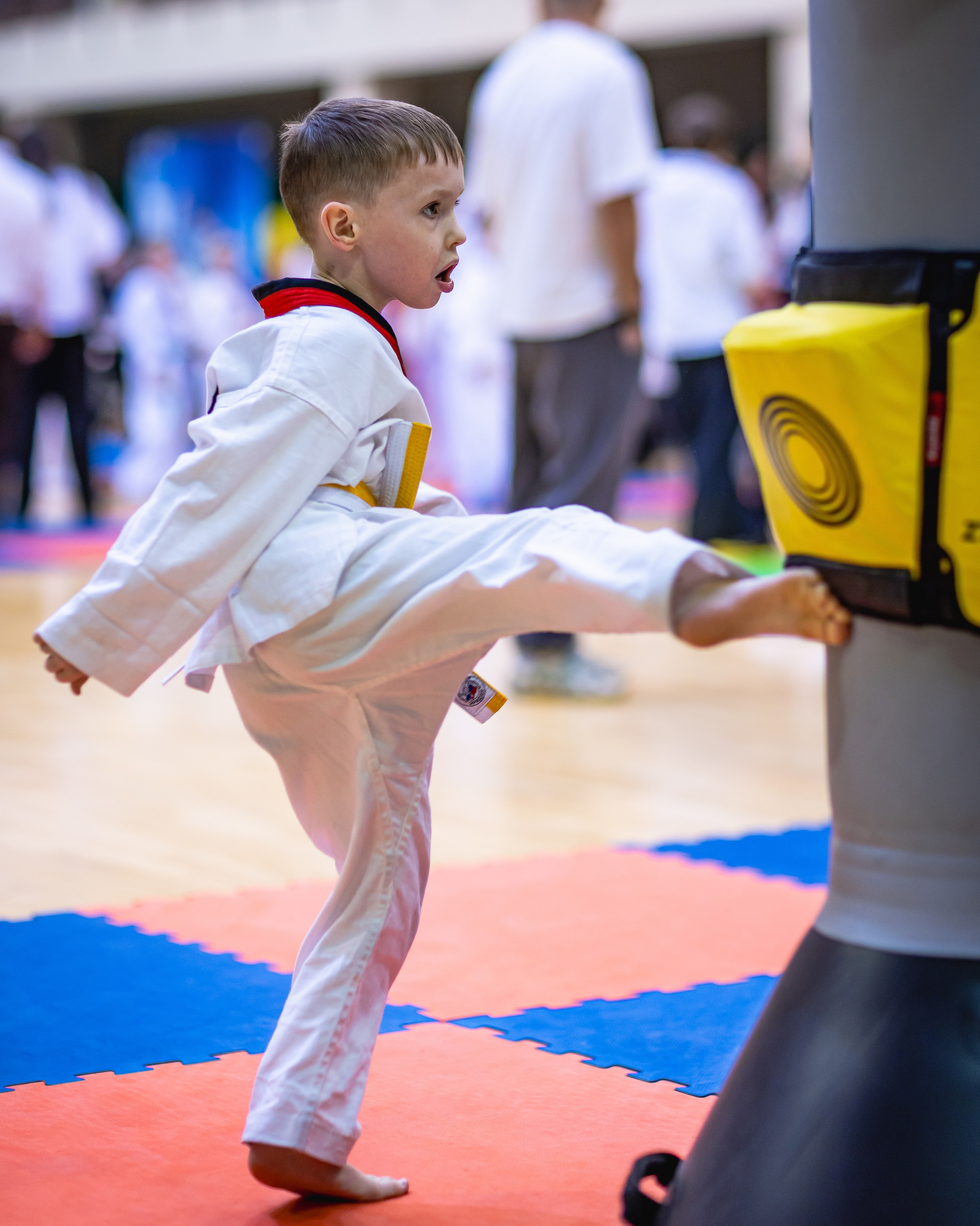 Первенство ВДЮФСОО «ФЕДЕРАЦИЯ ДЕТСКОГО ТХЭКВОНДО РОССИИ» и МОО СПКЕ «ЭРИДАН» по «СИЛОВОМУ МНОГОБОРЬЮ». Спортивный фотограф Максим Серегин