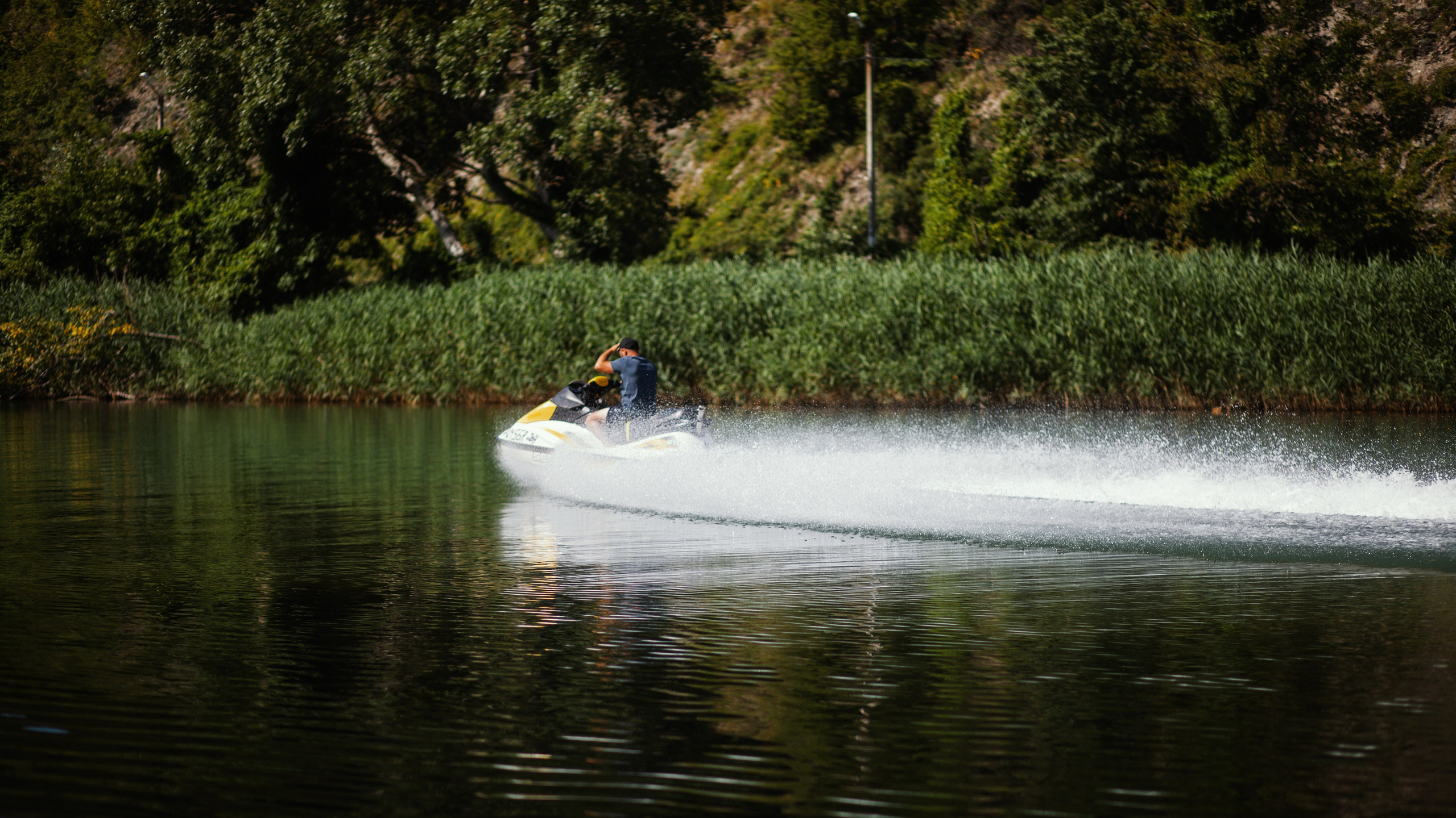 Улицы Люди на улицах Природа Животные — фотограф Оля Волчкова