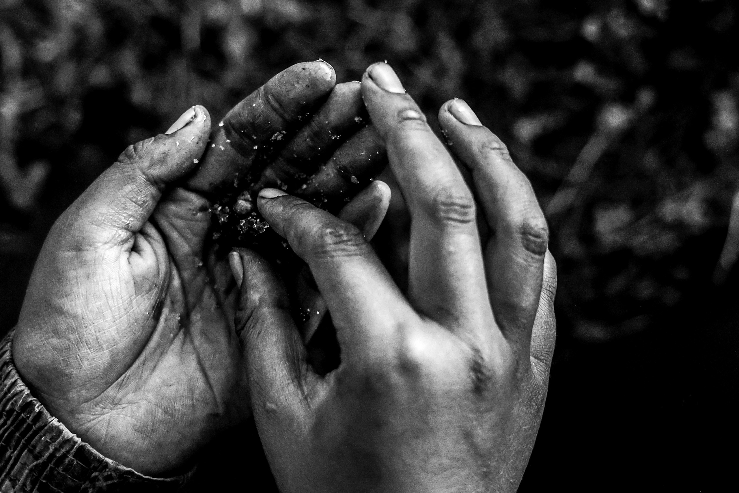 НА 69-й ПАРАЛЛЕЛИ. Ekaterina Ageeva