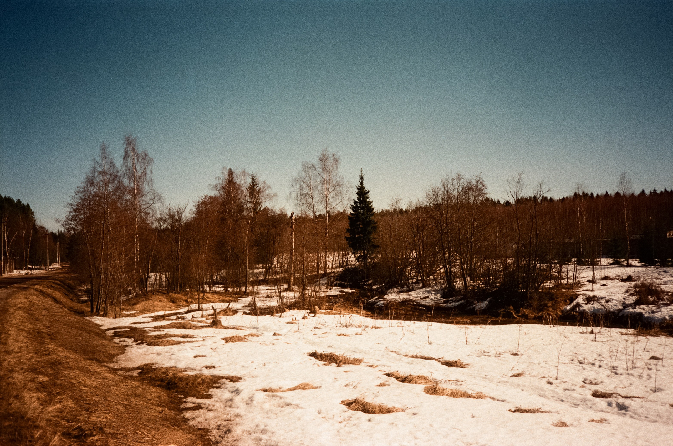 Ricoh FF-300D / Fujifilm X-tra 400 (просрочка) / Лукино март 2024 г