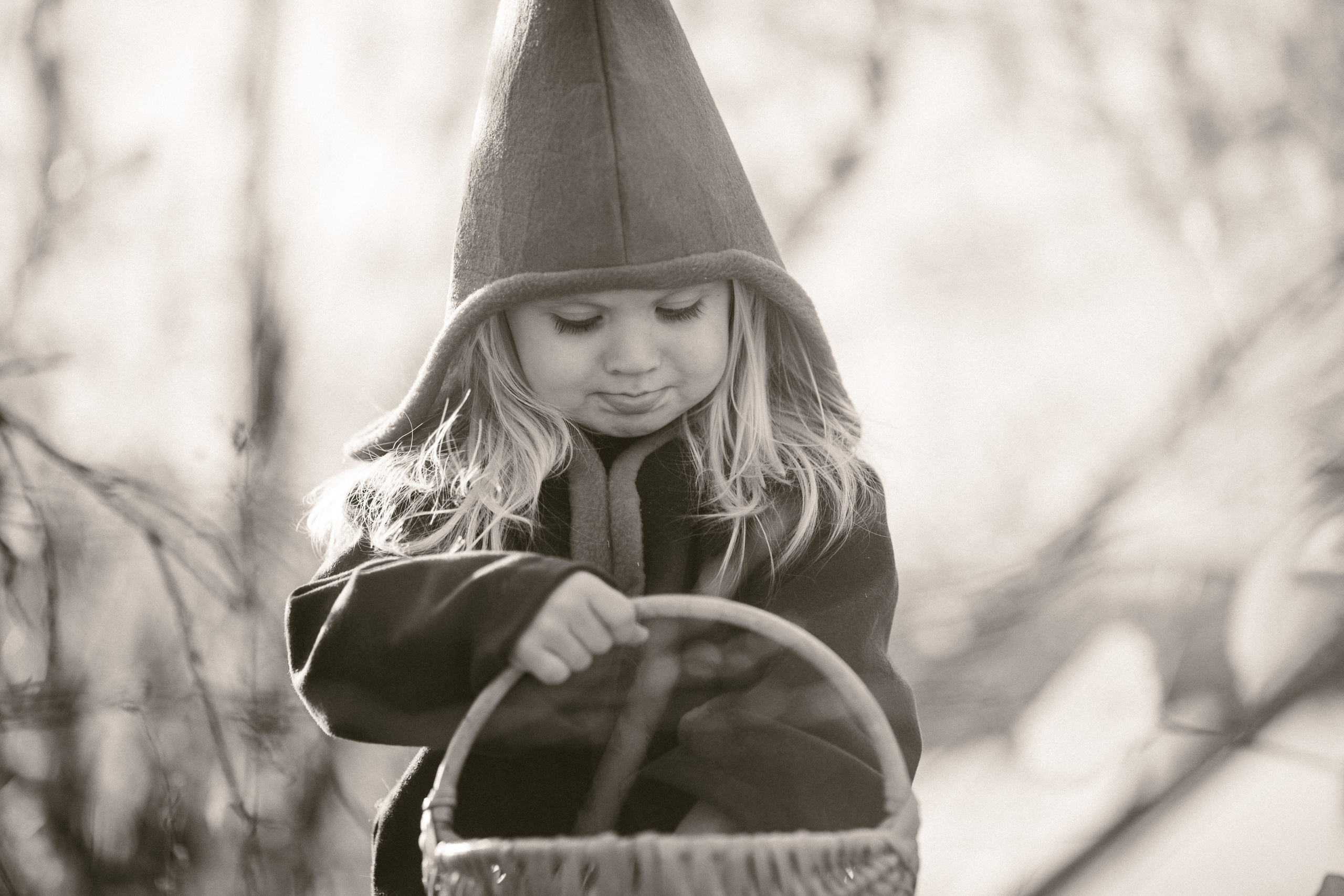 Лесные гномы