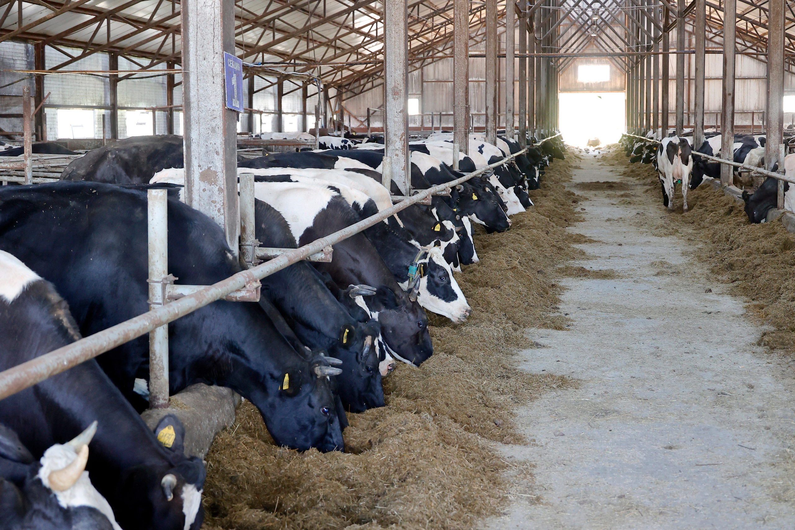 Бизнес и производство. Репортажное и контент фото для бизнеса. Клим Мурашкин. Кемерово