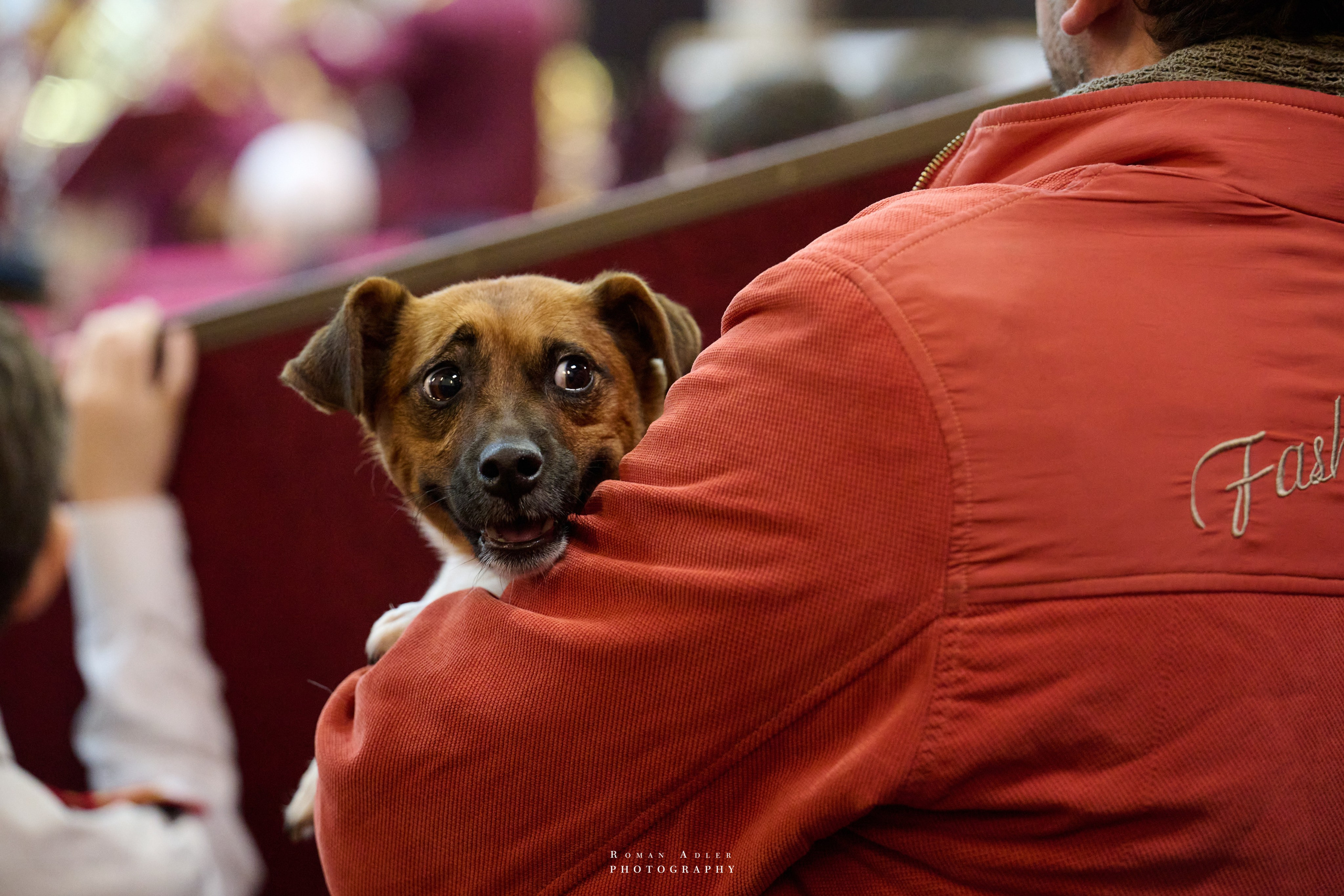 ДК «Победа» выставка фотопроекта «Территории». Фотограф Роман Адлер