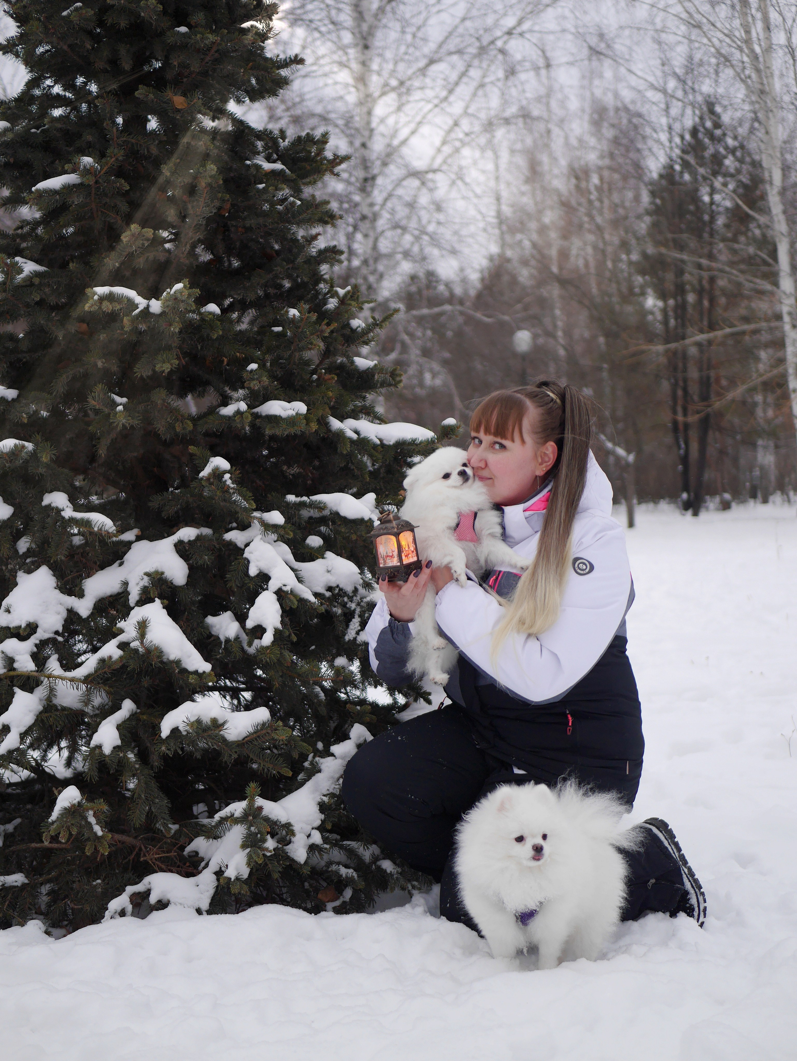 Надежда и шпицы