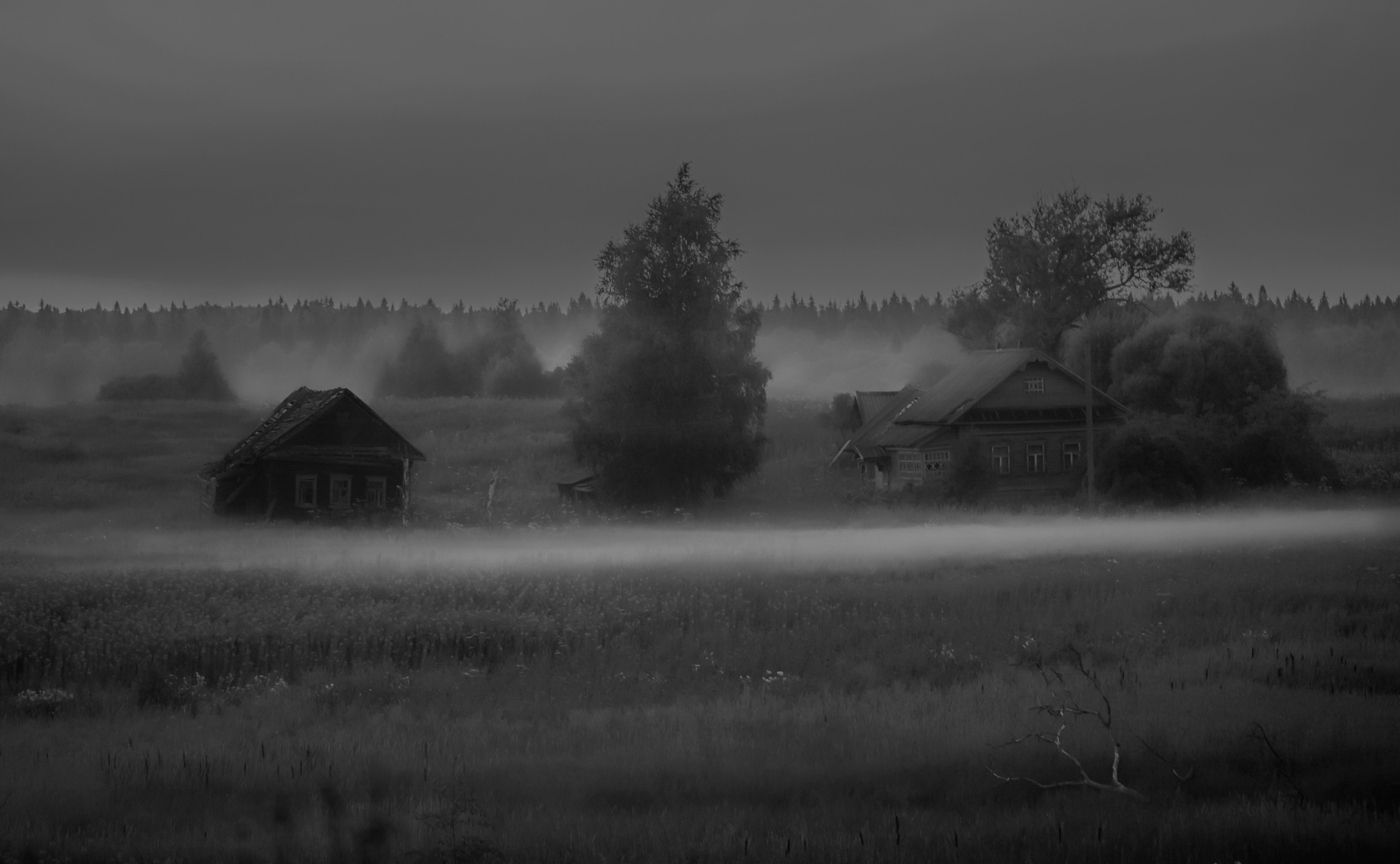 Тишина. Свадьбы, портретная, предметная съемка. Фотограф Александр К