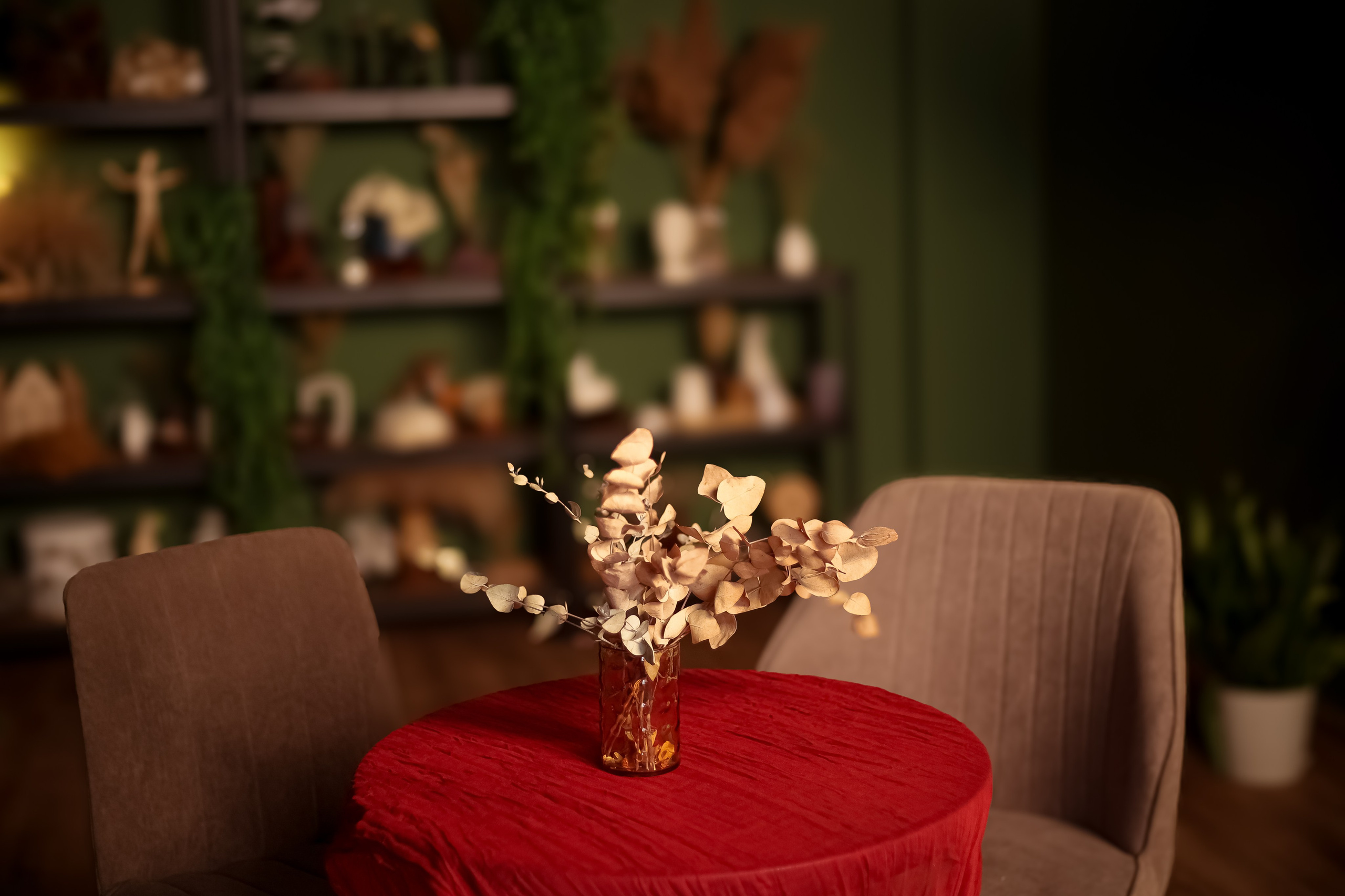 Абонемент на аренду для предметной съемки/записи подкаста