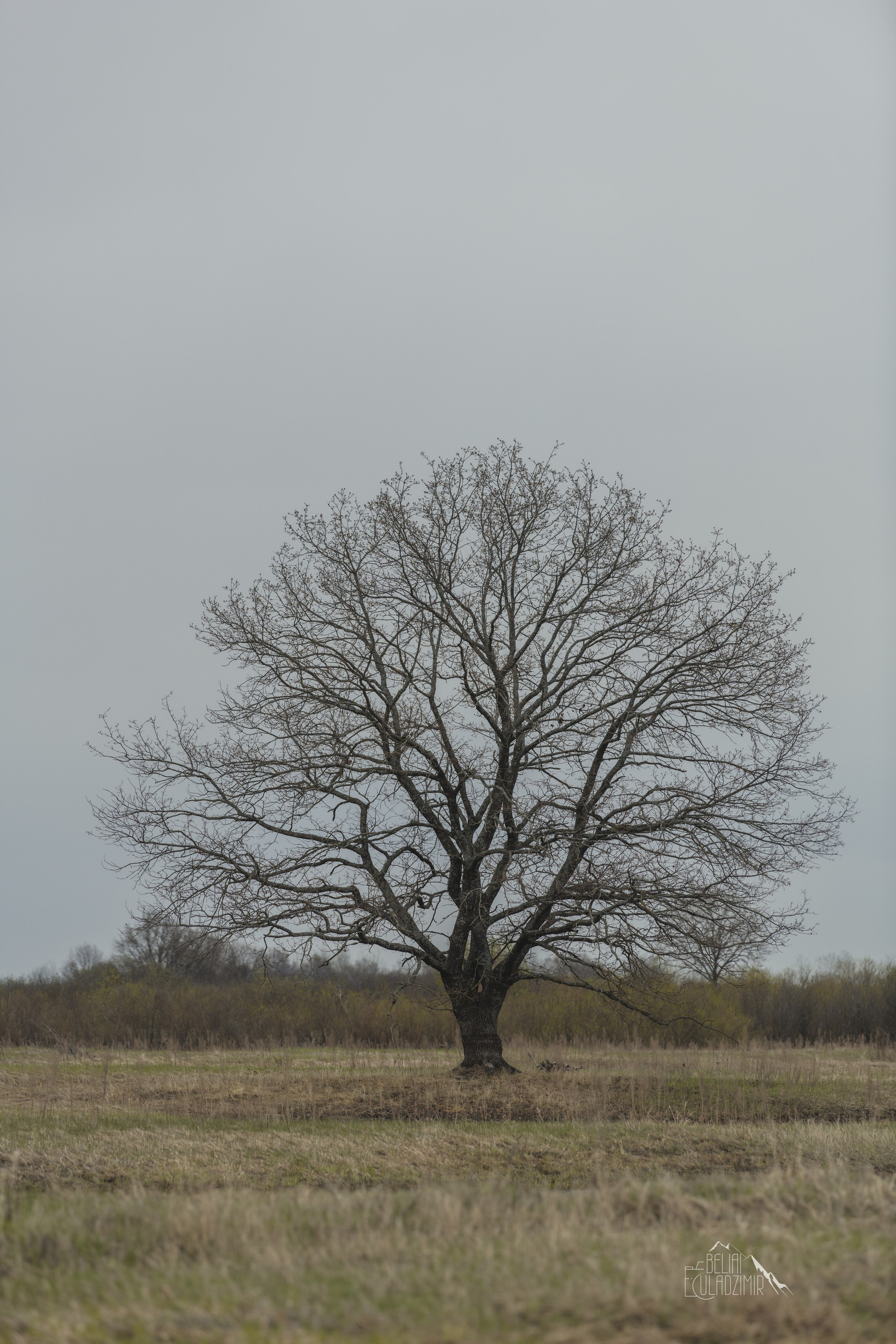 Сплав по реке Тремля 11 апреля 2026 года. Репортажный фотограф Владимир Беляй