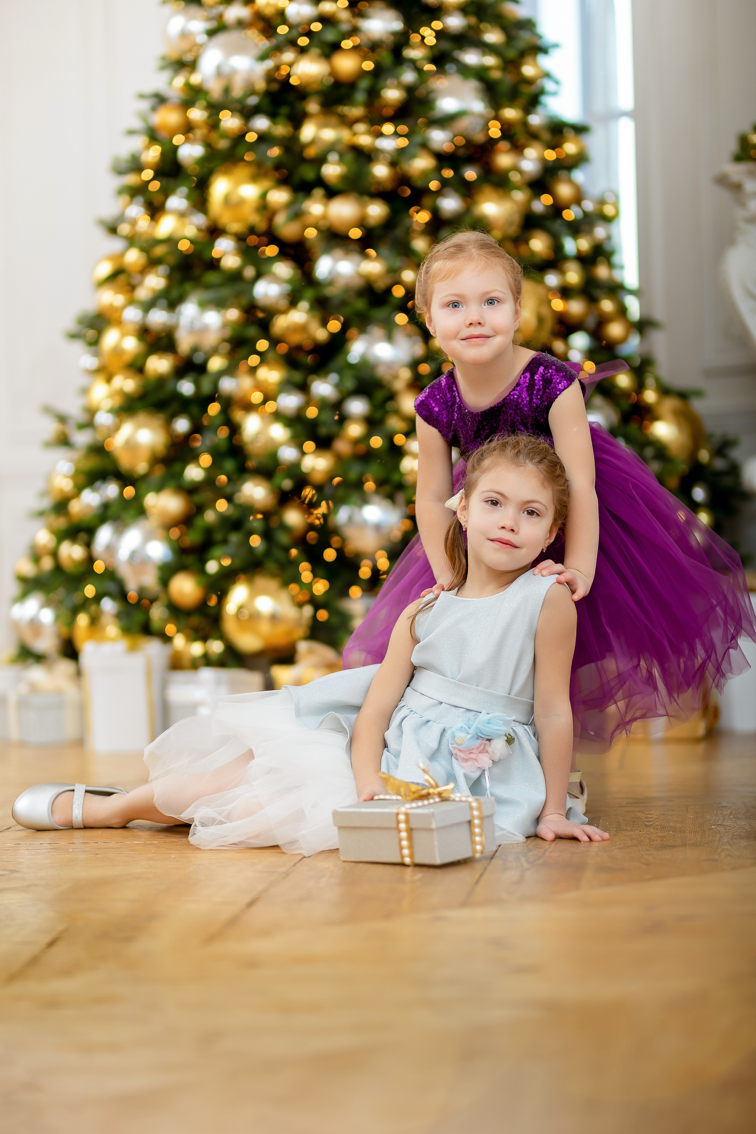 Новогодний Фотодень 17 декабря зал Романов