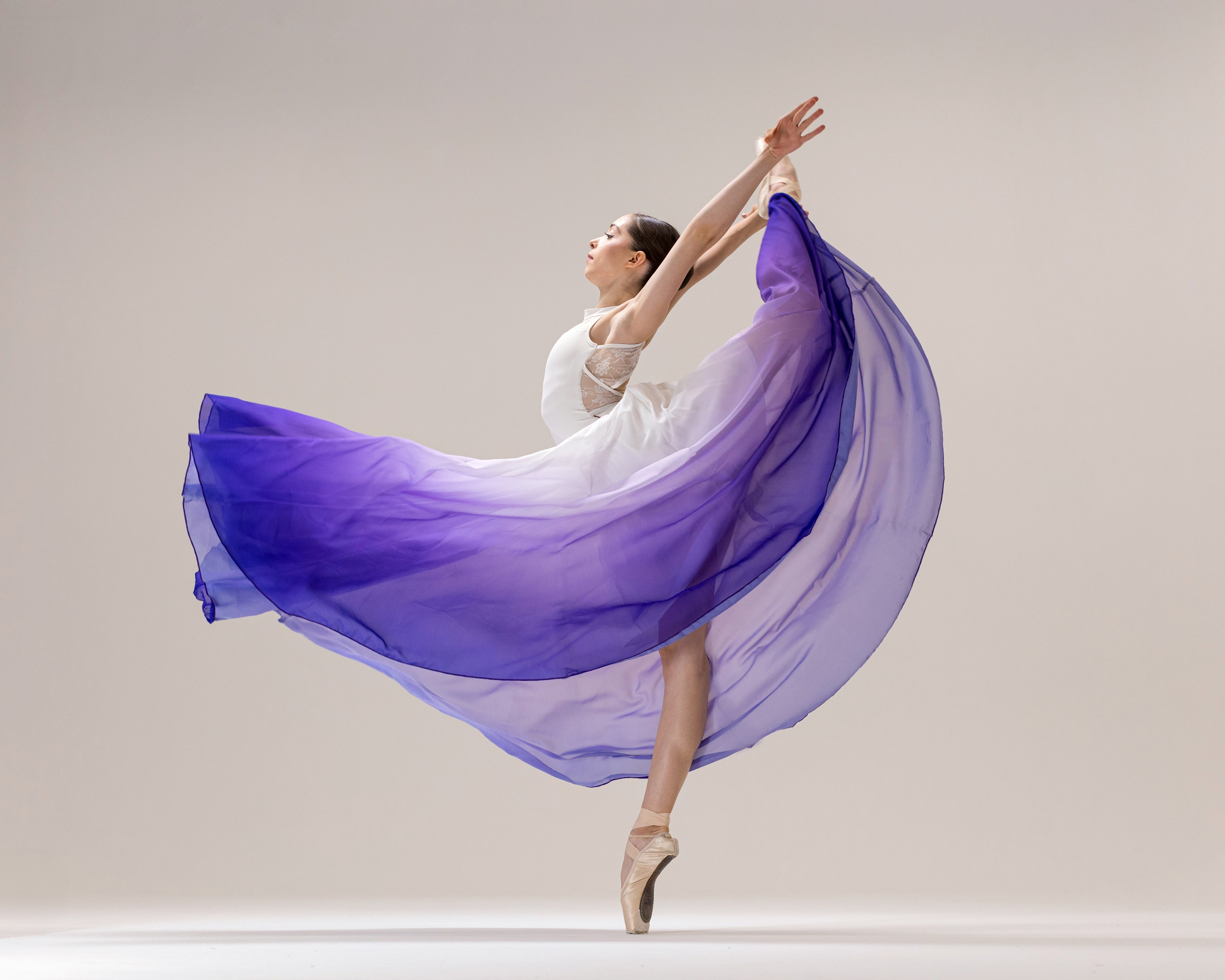 Юбка воздушная градиентная напрокат бесплатно. Балетный фотограф Алина Ханько — Душа Балета