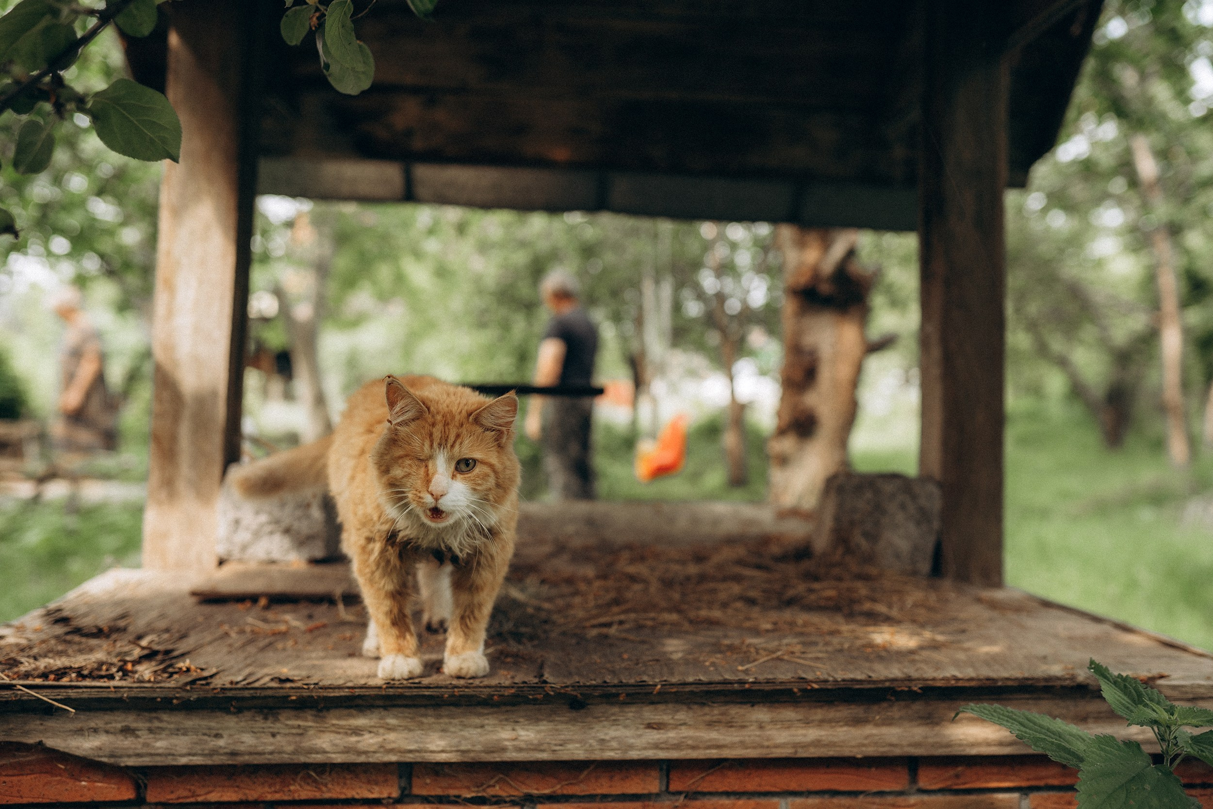 Поколения. Детский и семейный фотограф — Калининград — Юля Насифуллина