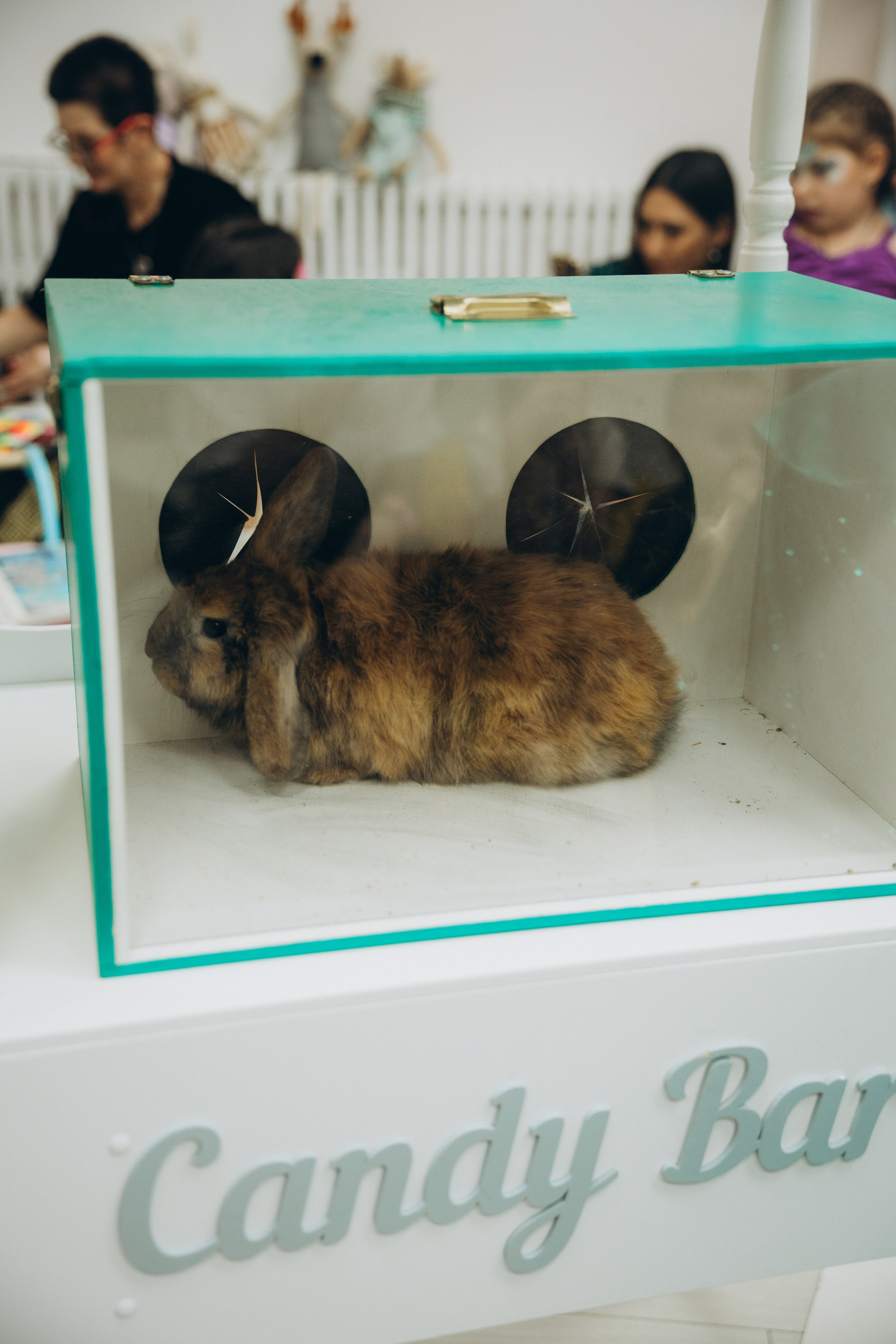 Злате 5 лет. Свадебный, семейный фотограф в Иркутске Светлана Макаричева