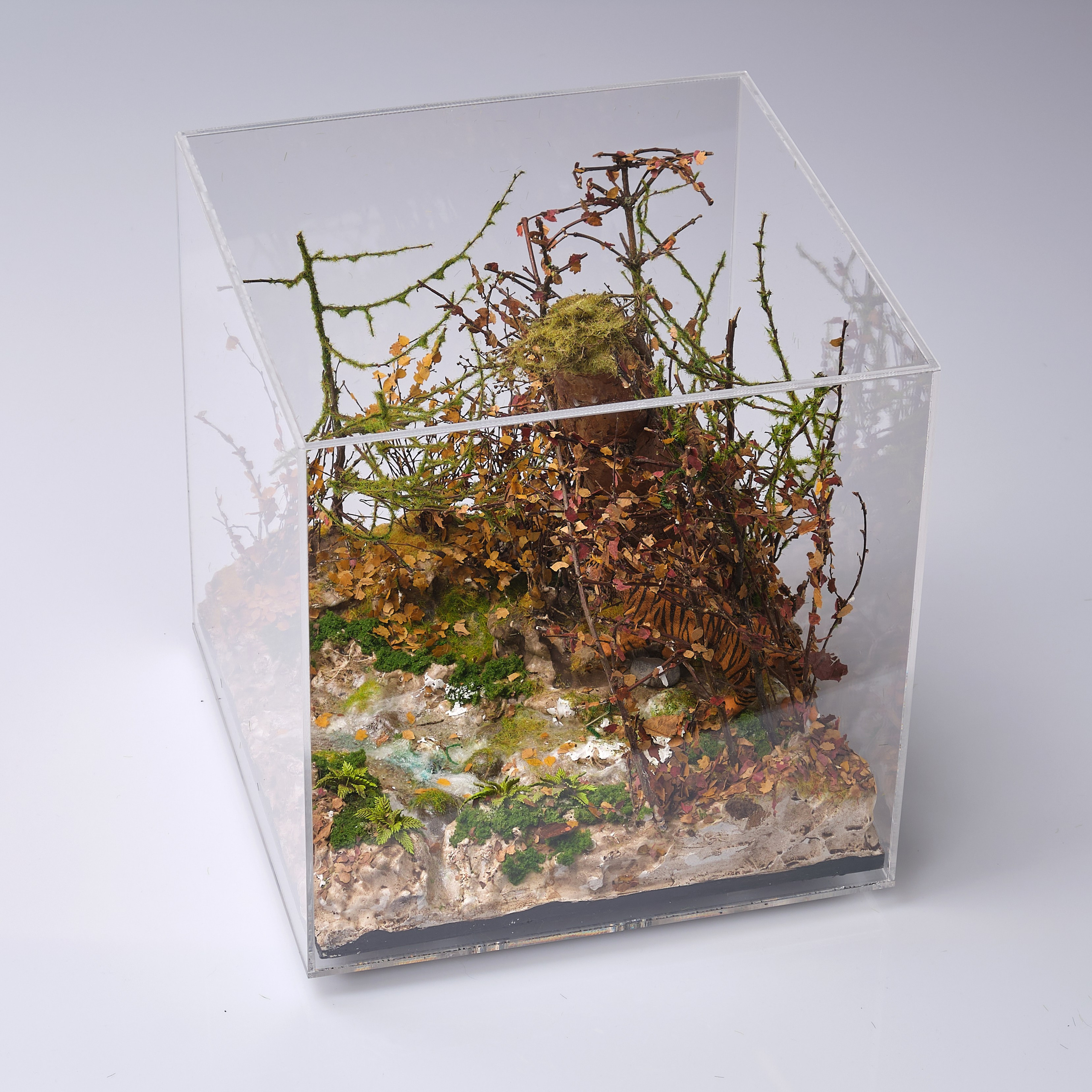 Как я снимал диорамы для школьного издания. Создаю продающие картинки в городе Истра Фото Видео 3д рендеры визуализации