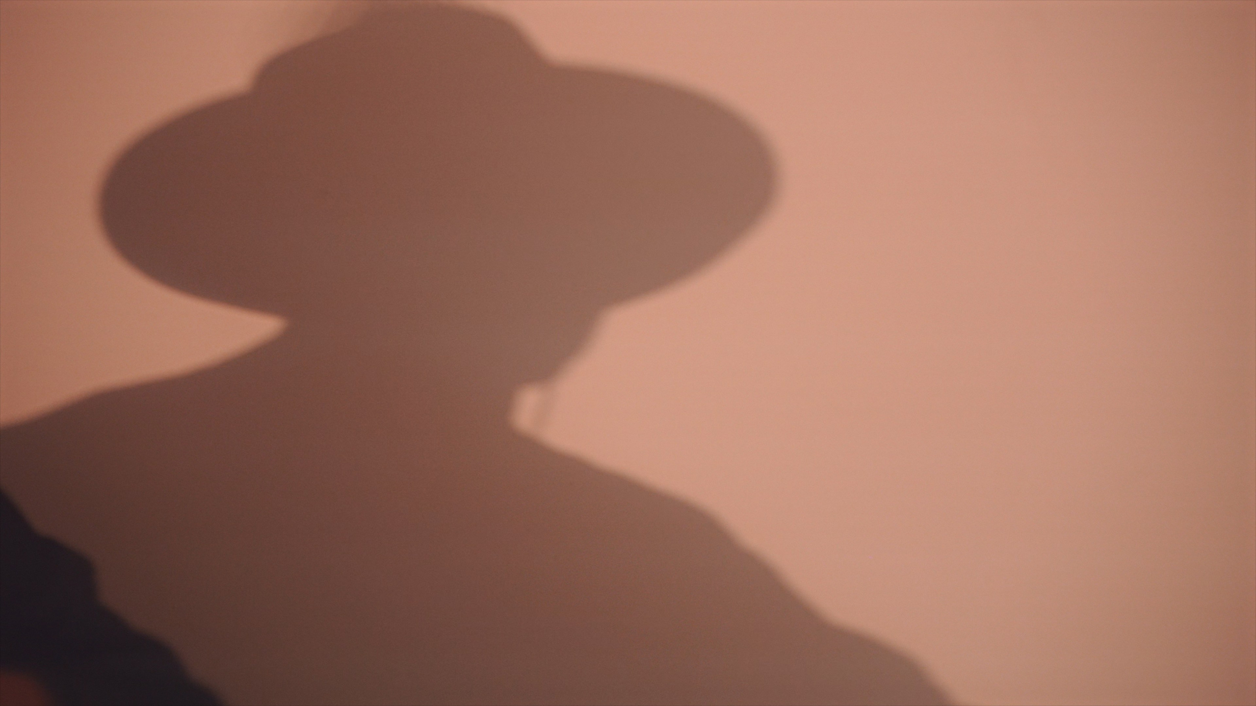 Екатерина и Егор. Агата Акварель видеограф Сочи Краснодар