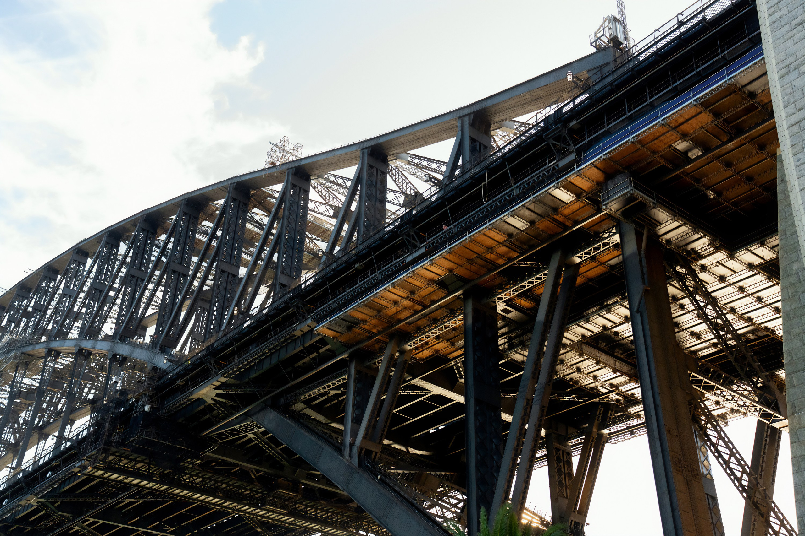 Фотограф в Хабаровске. Фотография за 24 часа