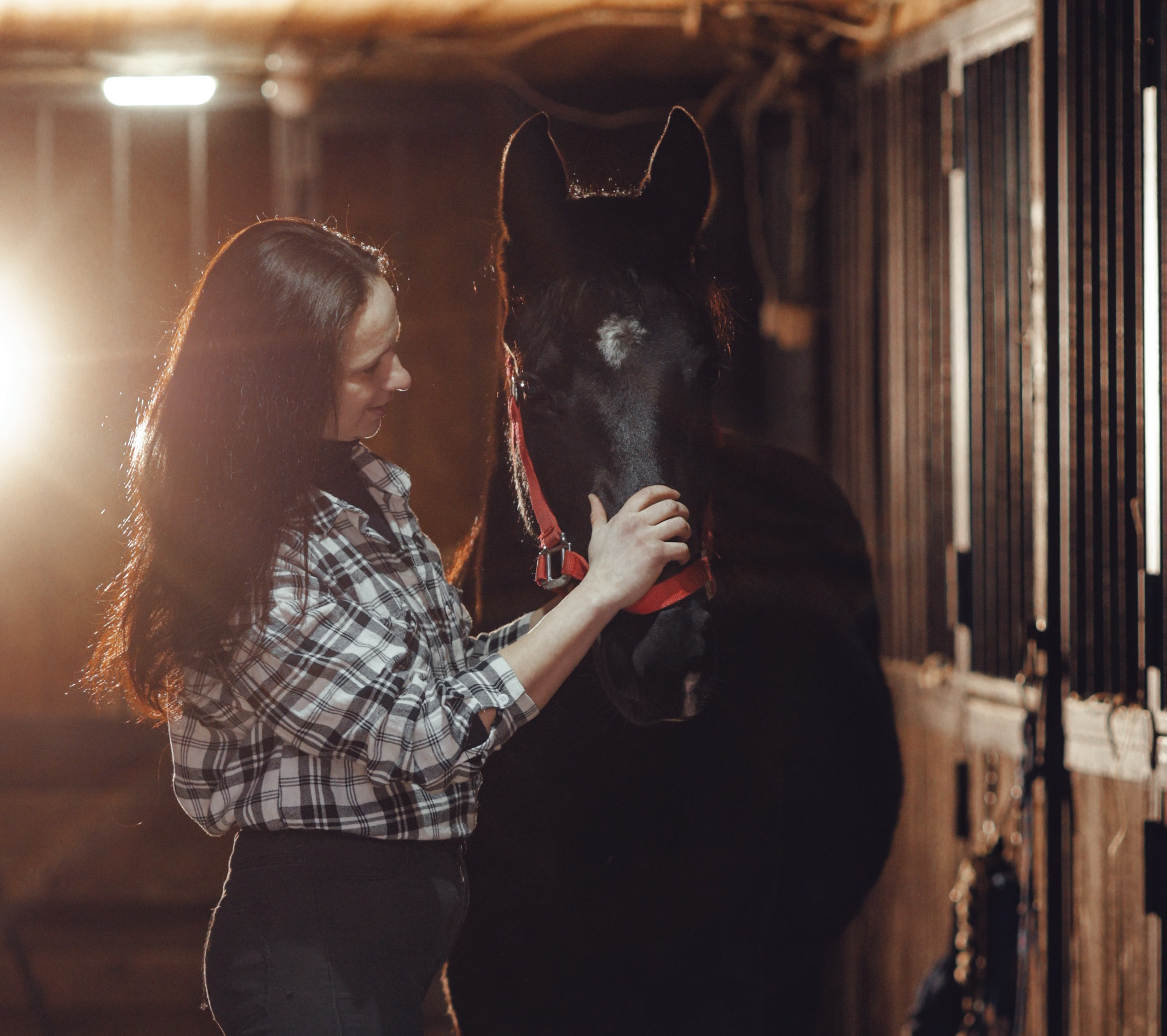 Ветер. Фотограф Варвара Ермоленко