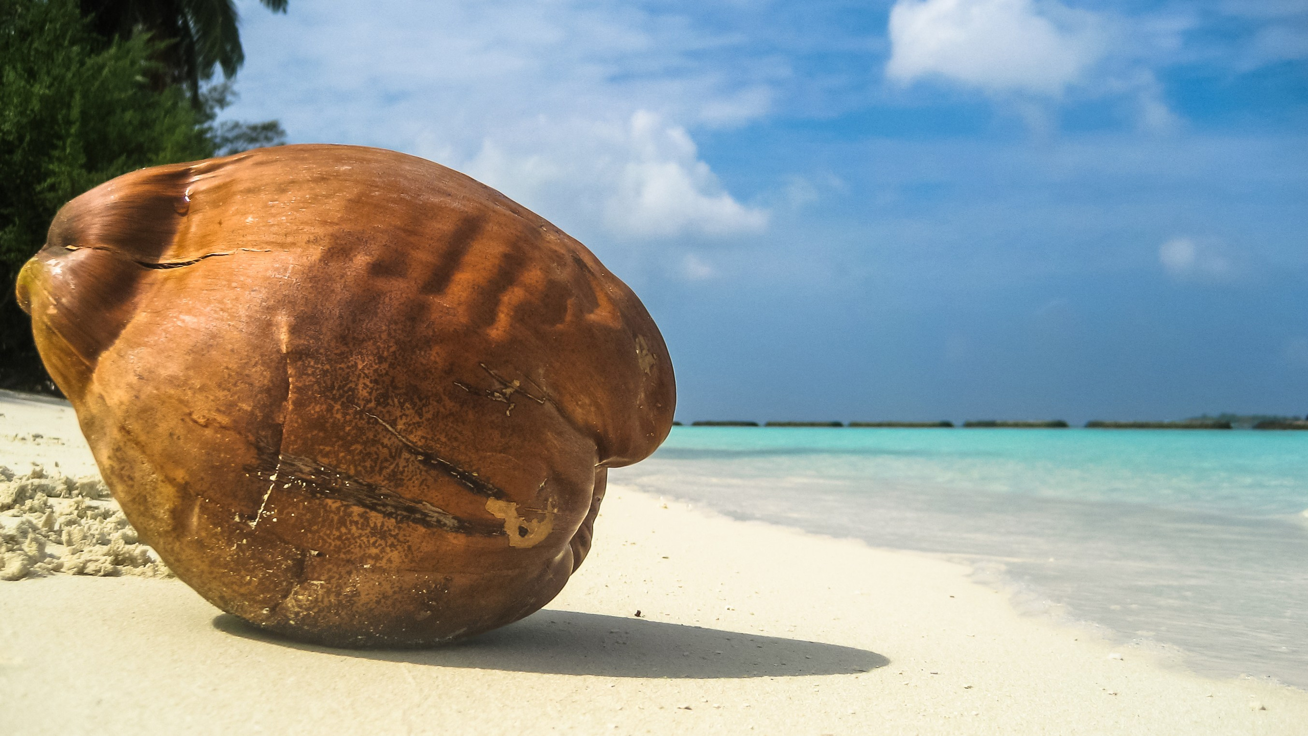 Путешествие на Мальдивские острова. Фотограф Иван Губанов