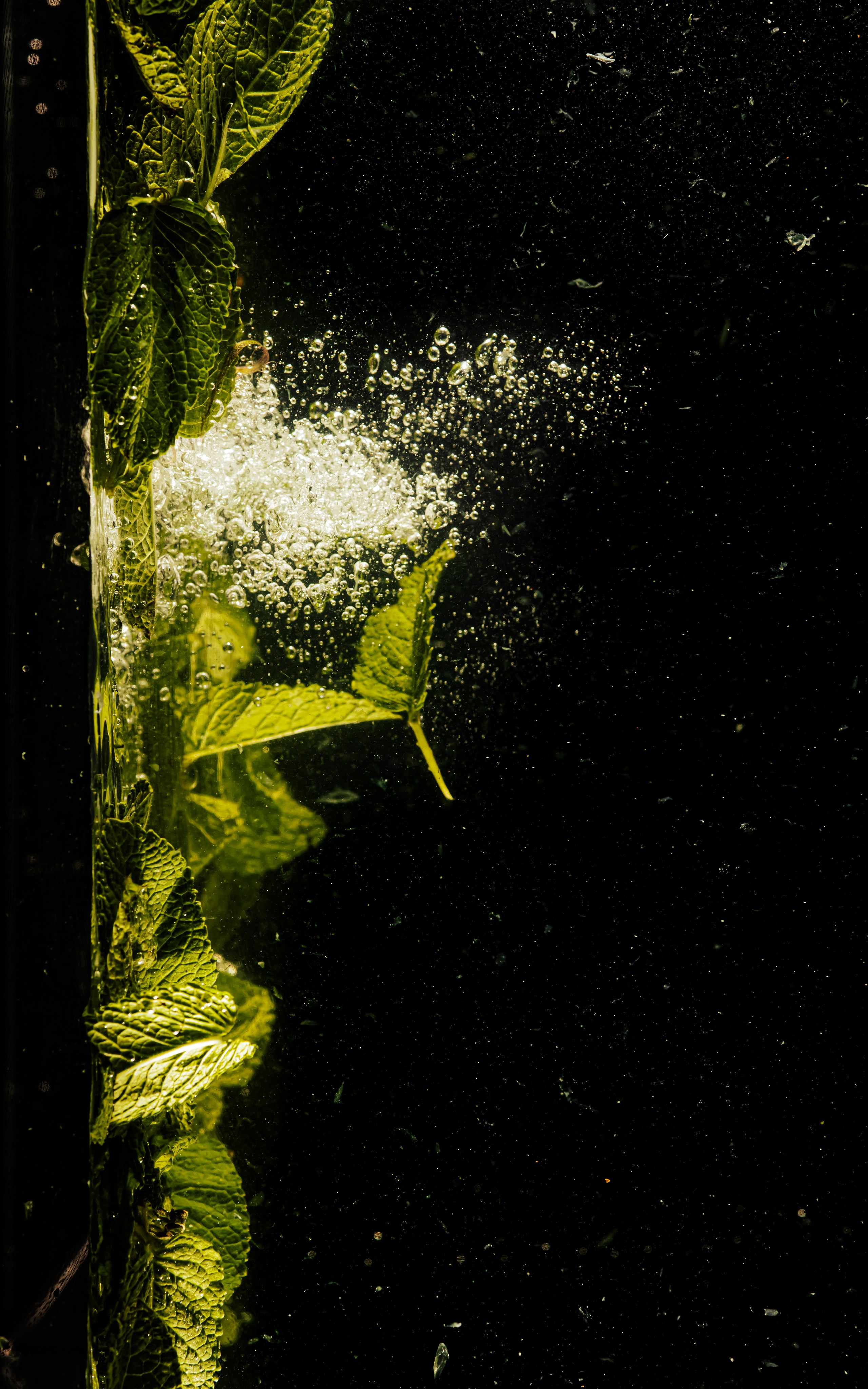 Предметный и Фуд-фотограф Анастасия Ларина