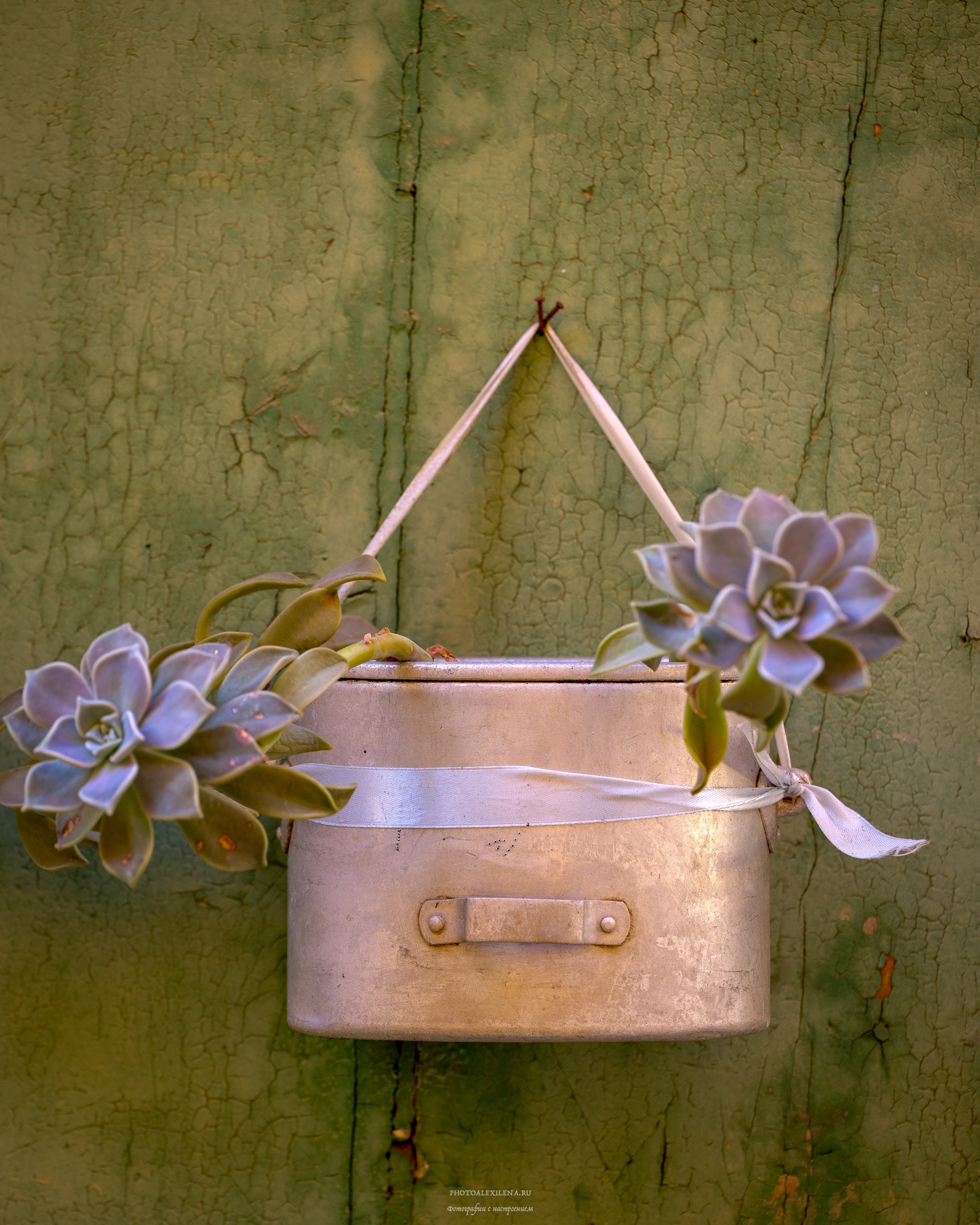 Путешествие сквозь красоту и вдохновение. Авторские стильные фотокартины