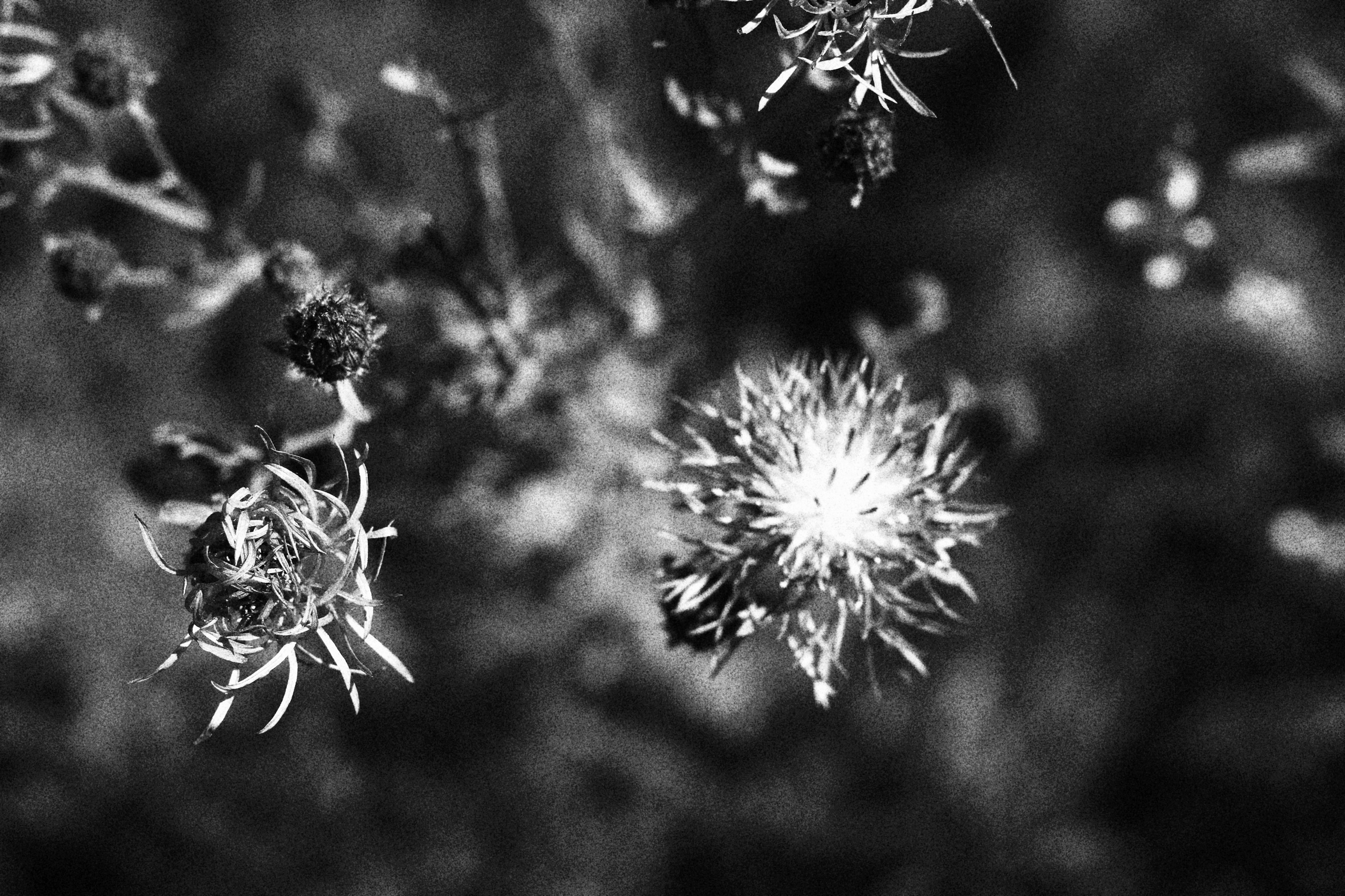 Автор: Андрей Сарычев