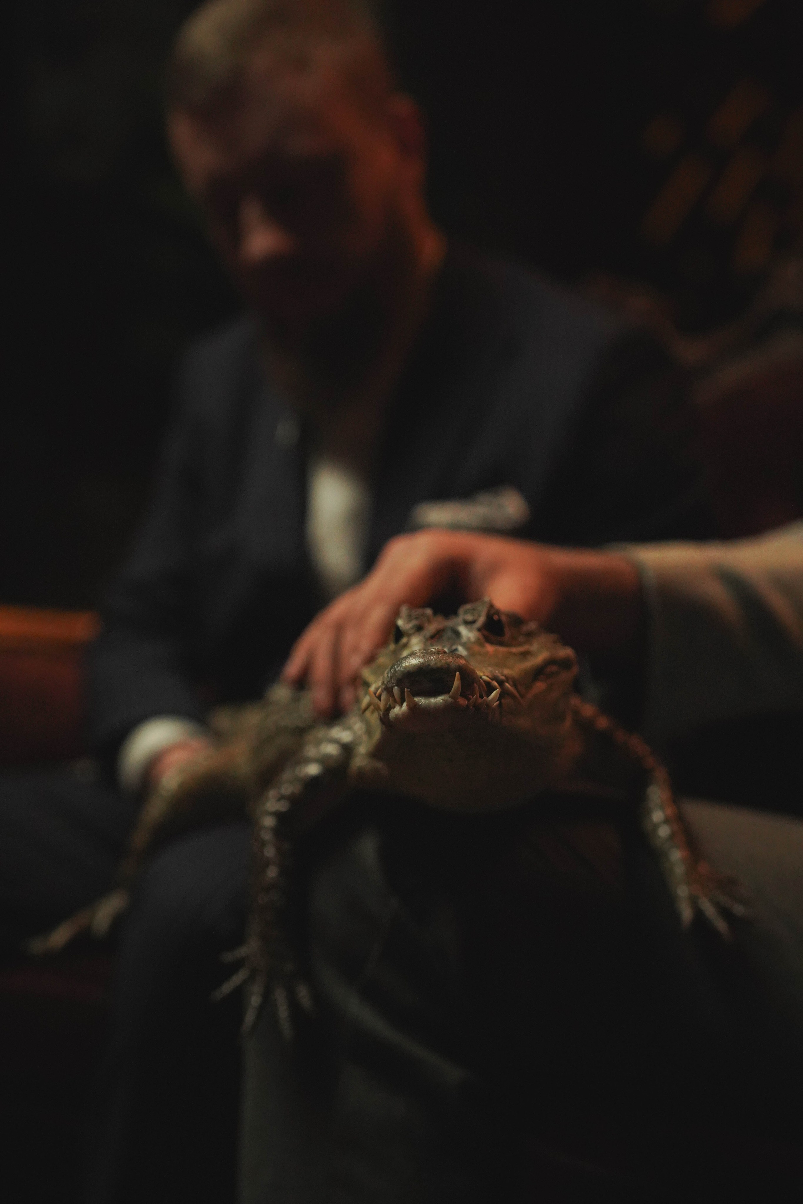 За кадром шоу «Подсечка». Beardy Pix