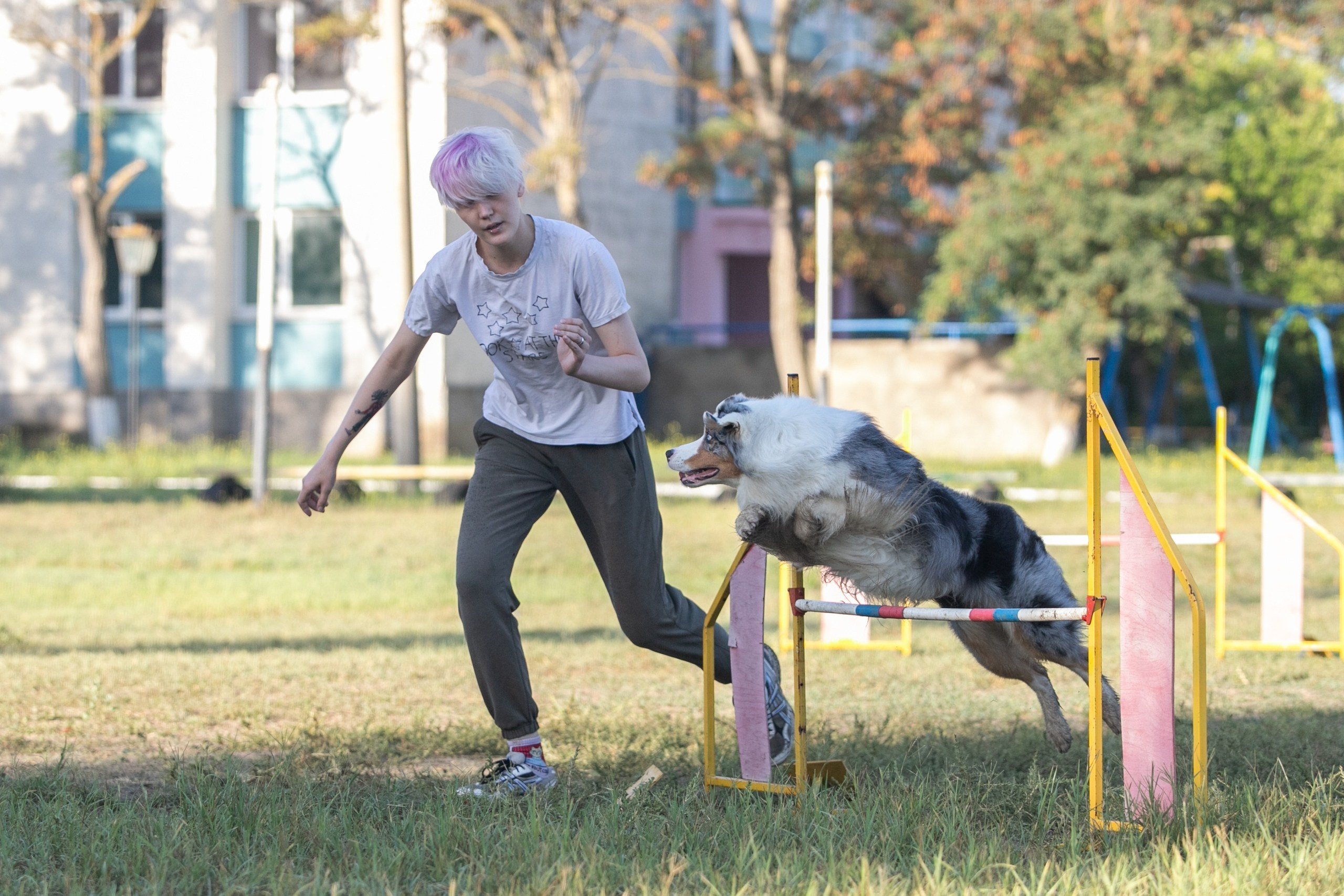 О нас. BLGKV питомник собак