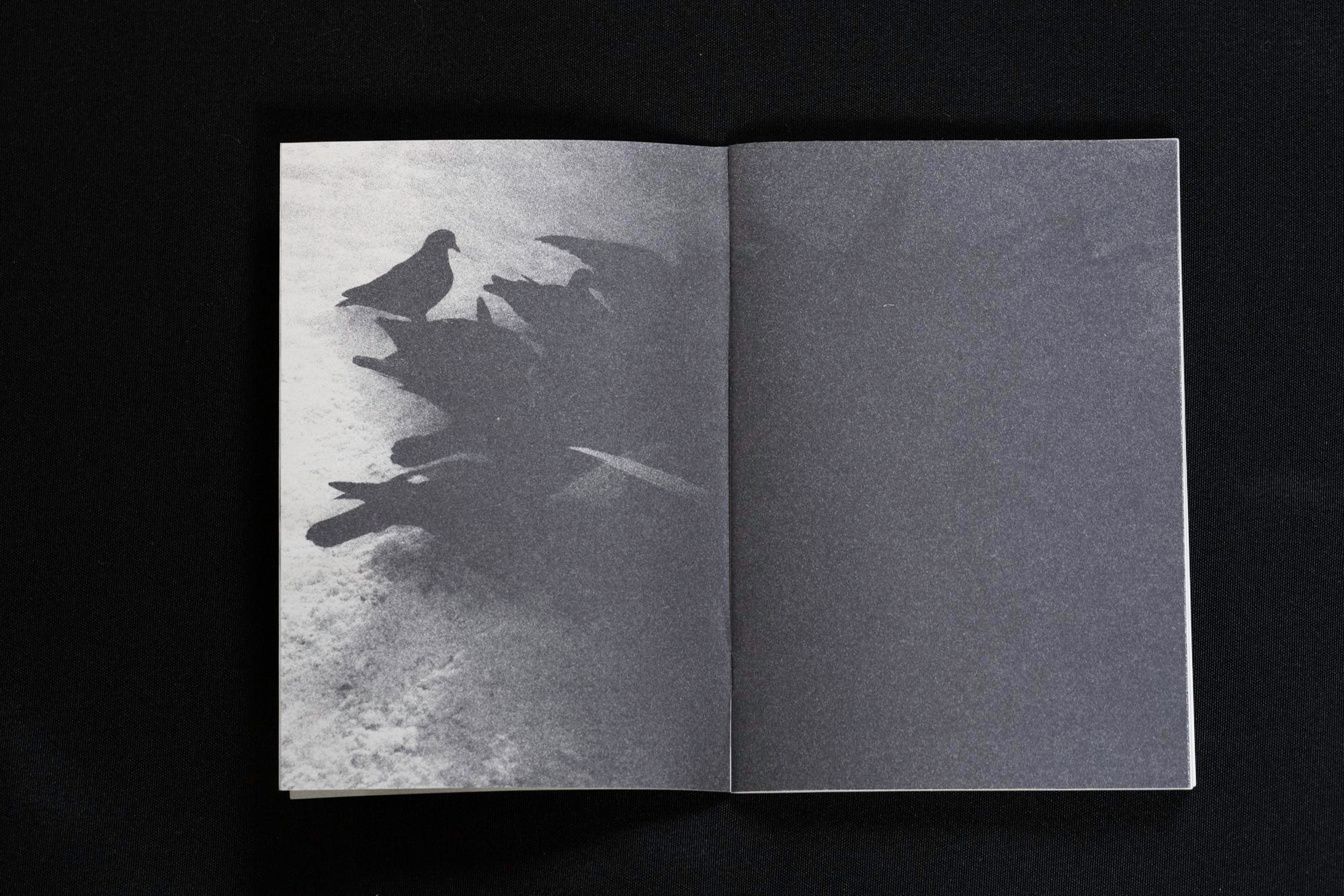 Zeitgeist. Asya Bobritskaya is a multidisciplinary artist