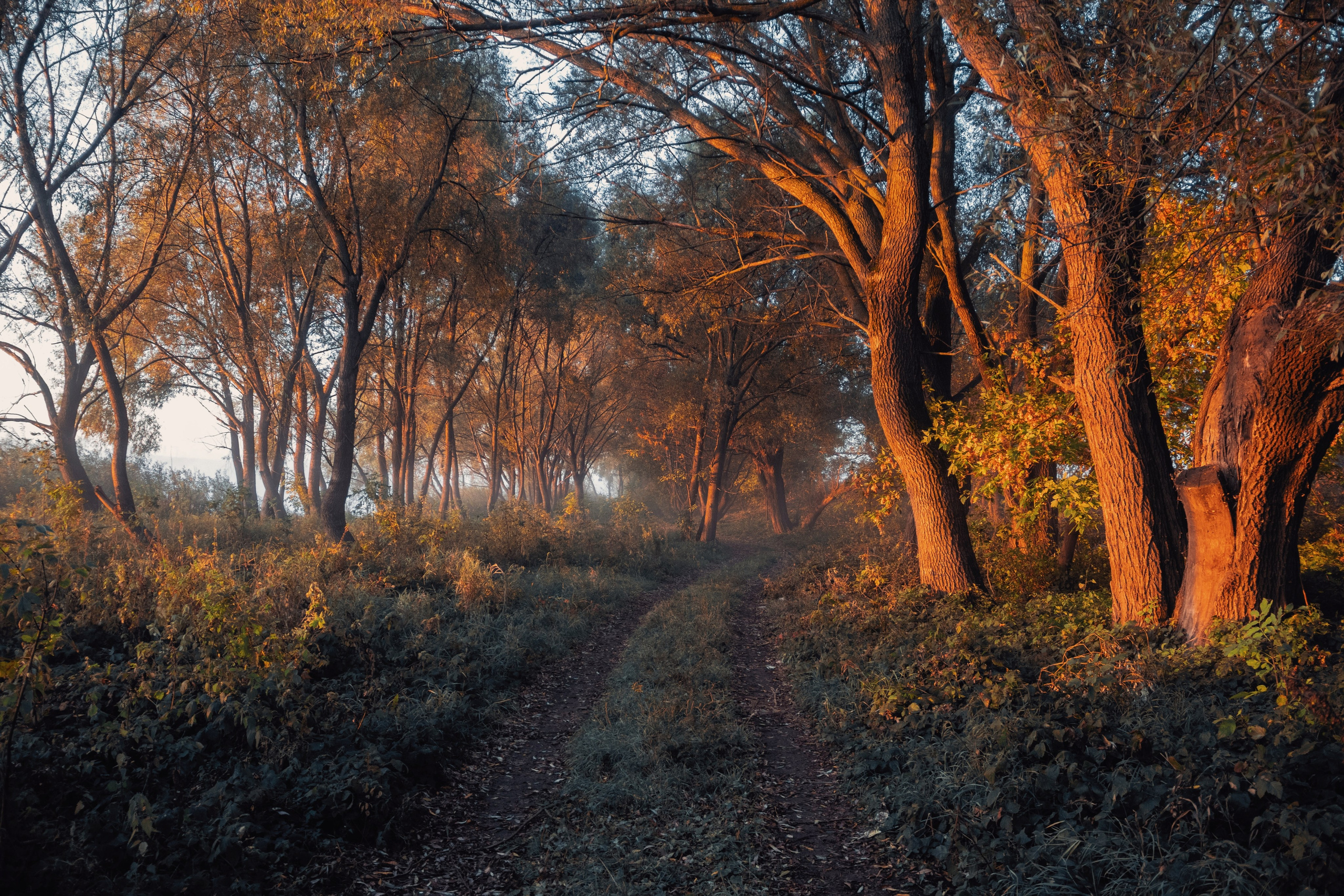 Волшебное утро в первый день октября. С любовью, фотохудожник