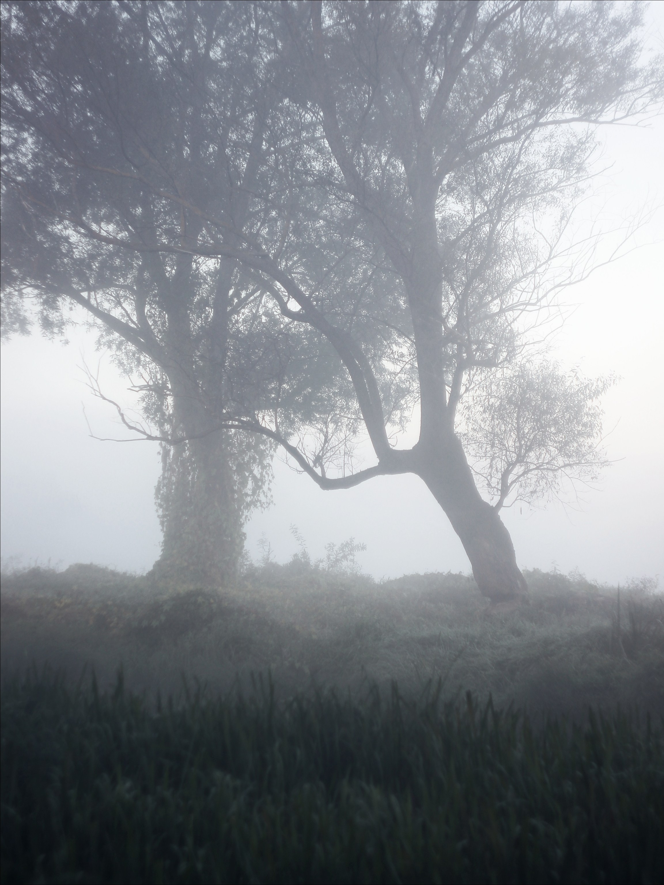 Опустошенность. С любовью, фотохудожник