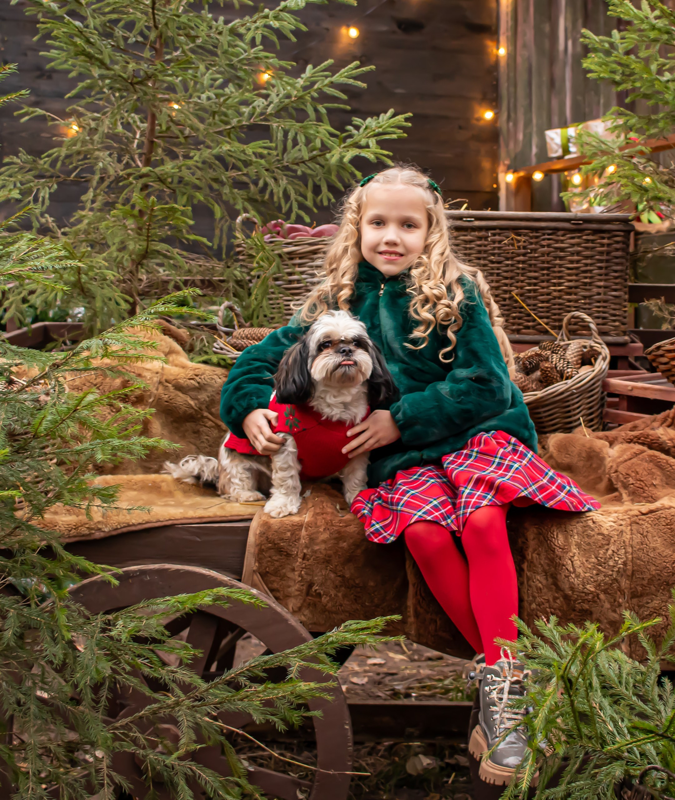 Девочка сидит на санках среди новогоднего декора, ёлок и подарков, рождественская фотосессия, фотограф Карасёва Елена